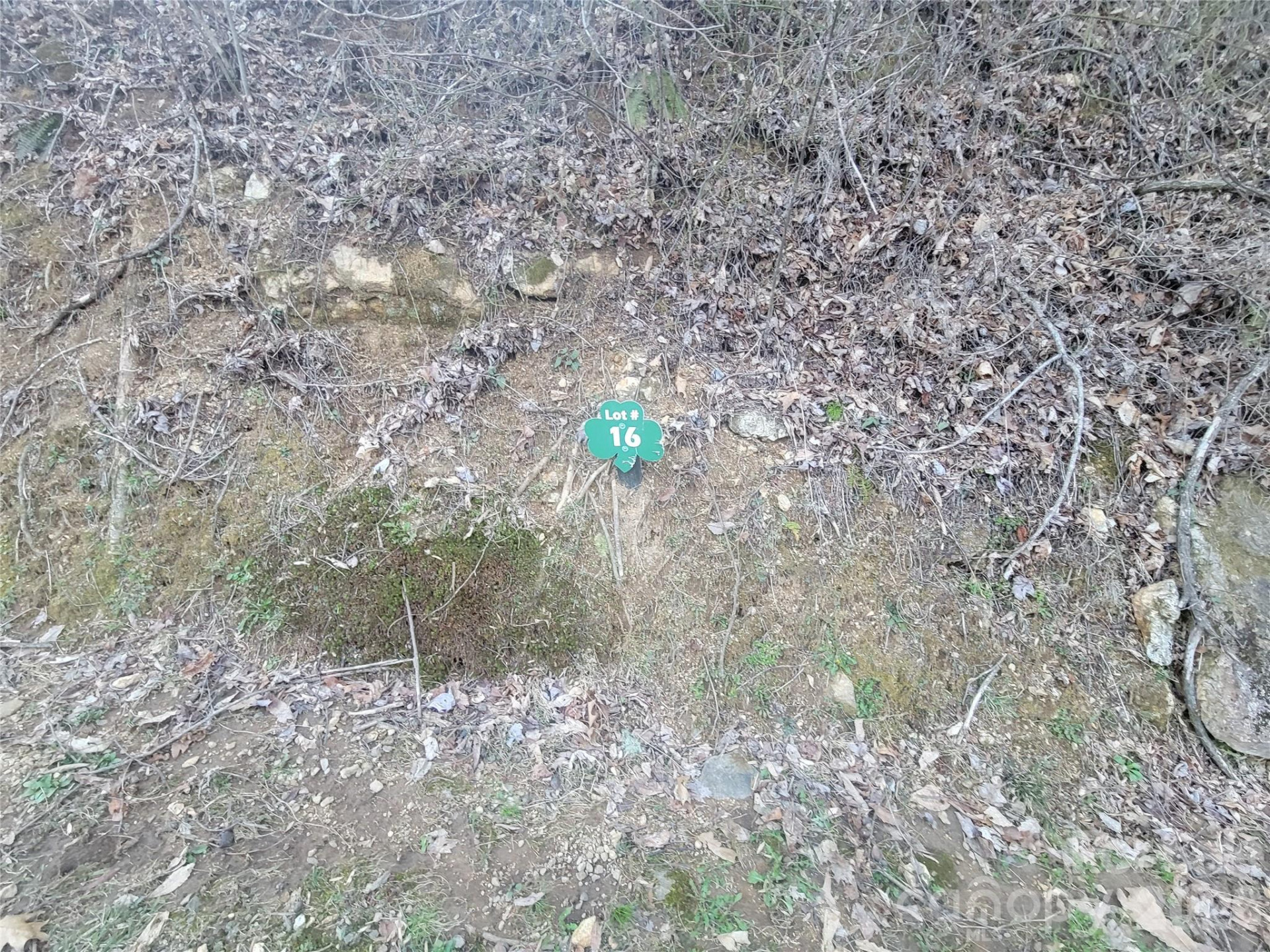 00 Covecrest Lane #16 - Photo 8