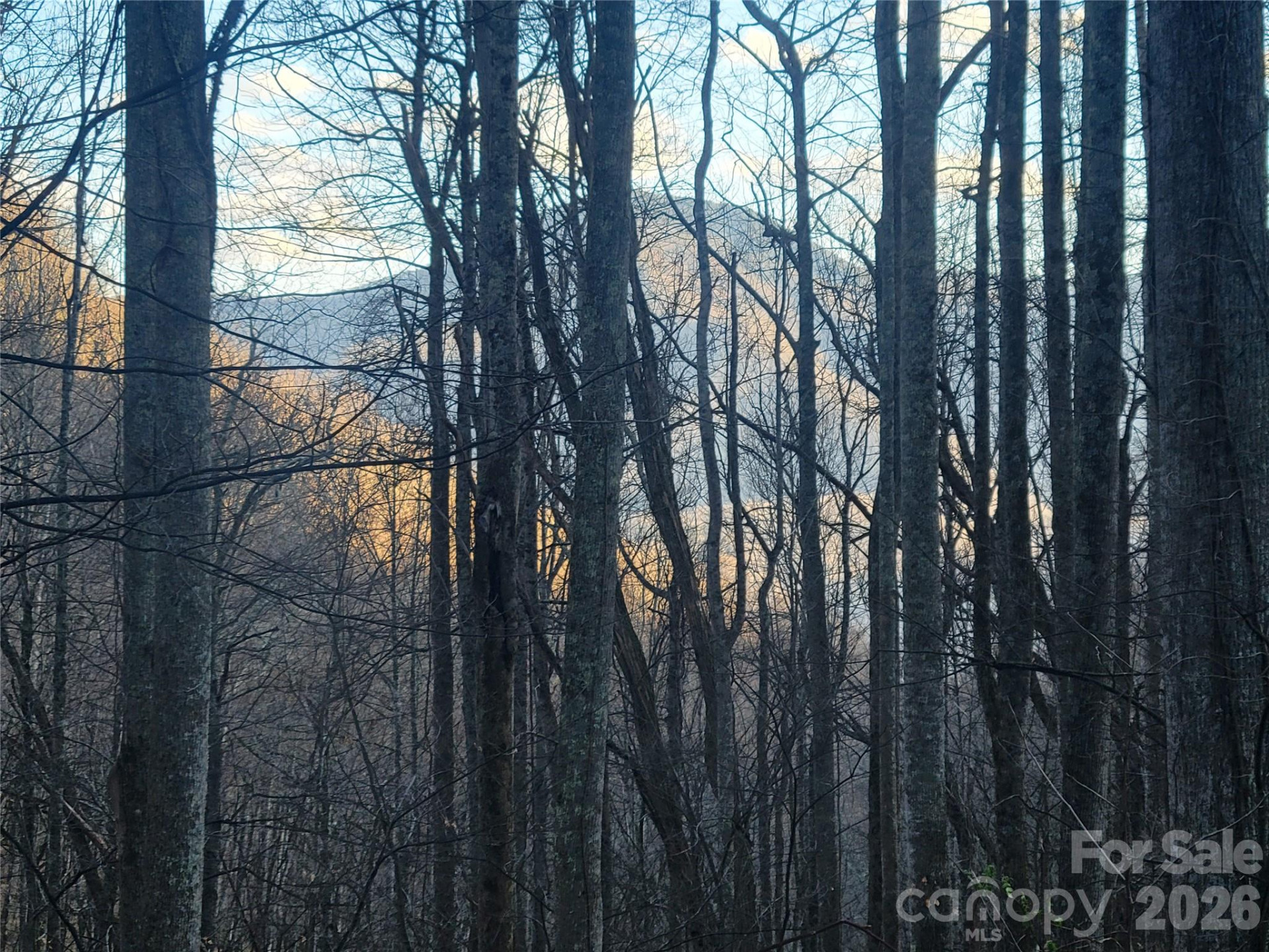 00 Covecrest Lane #16 - Photo 9