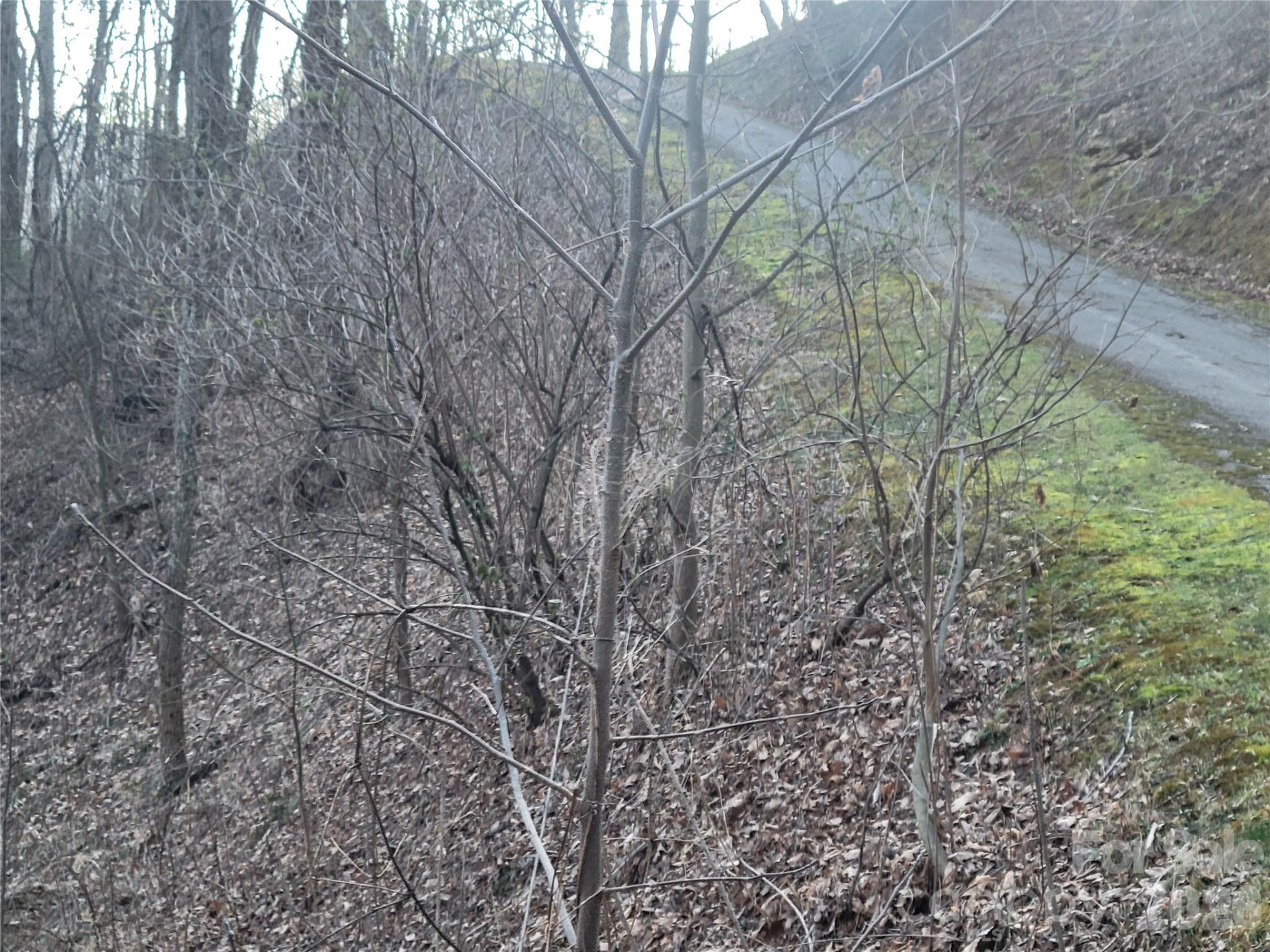 00 Covecrest Lane #17 - Photo 11