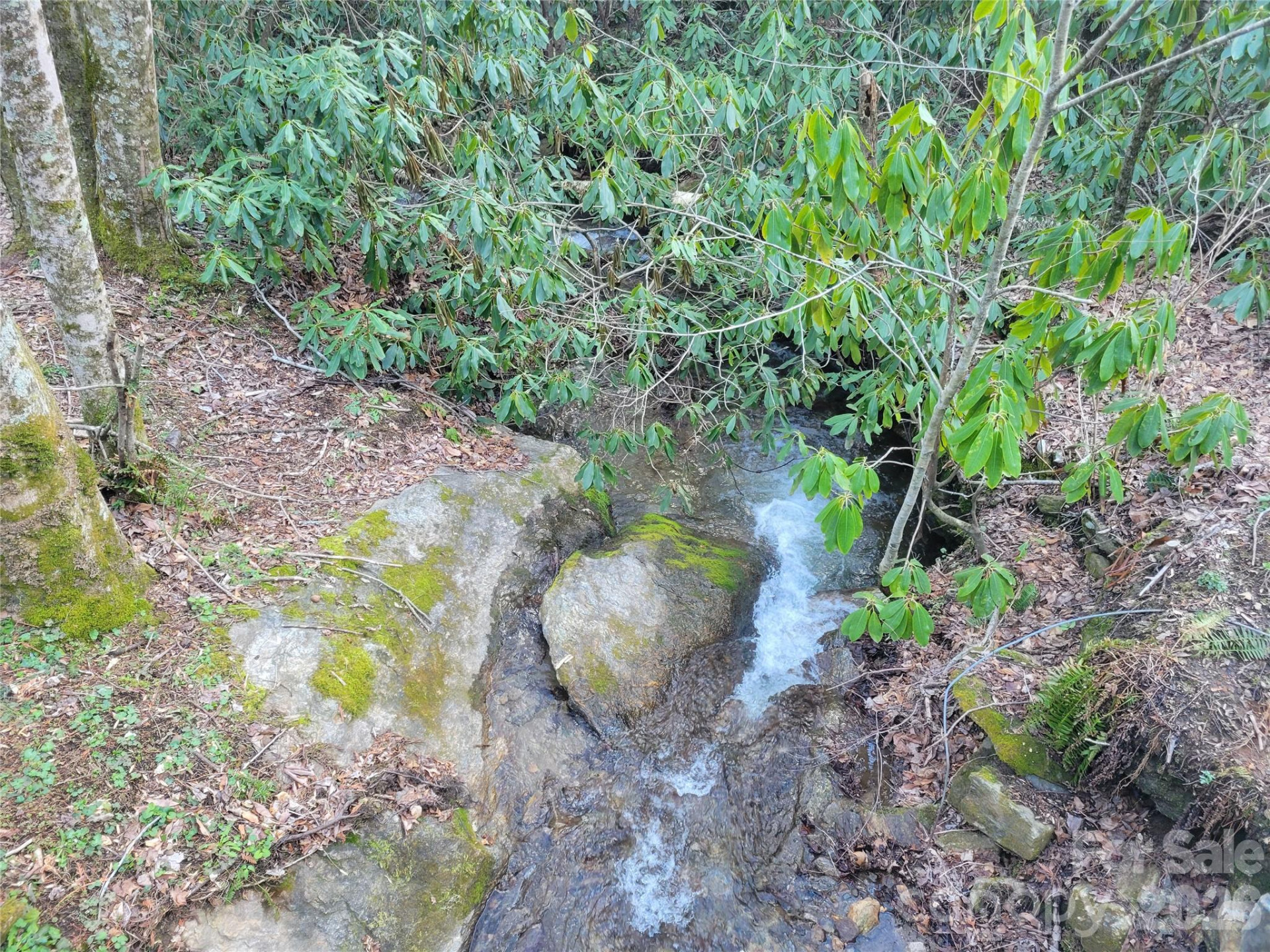 00 Covecrest Lane #17 - Photo 5