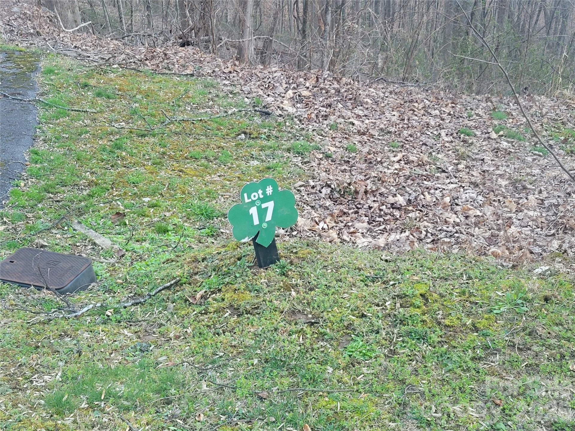 00 Covecrest Lane #17 - Photo 8