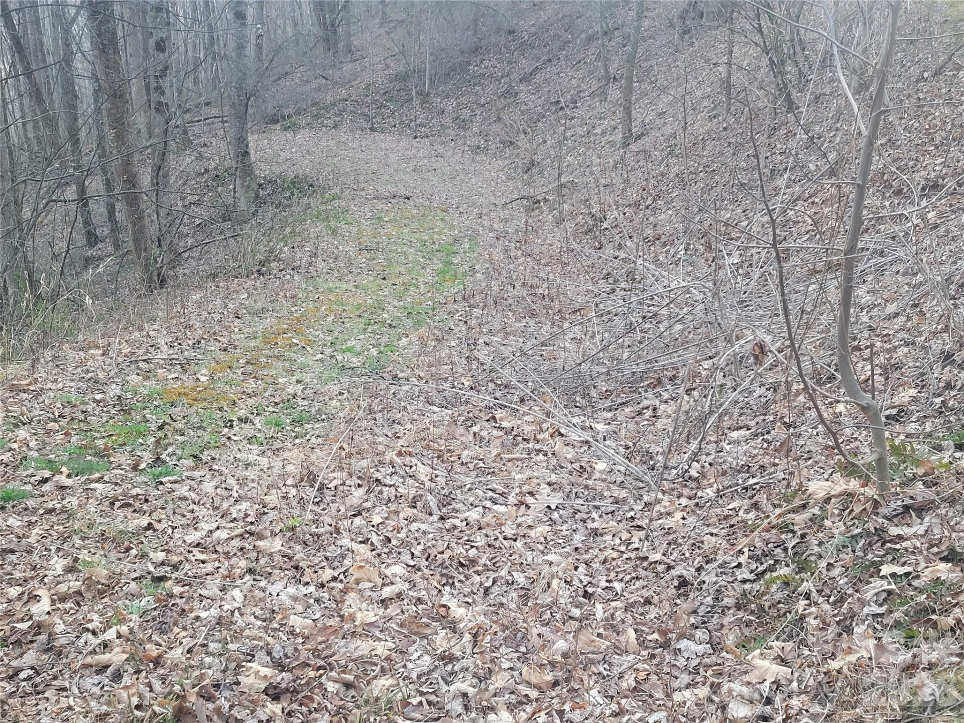 00 Covecrest Lane #17 - Photo 9