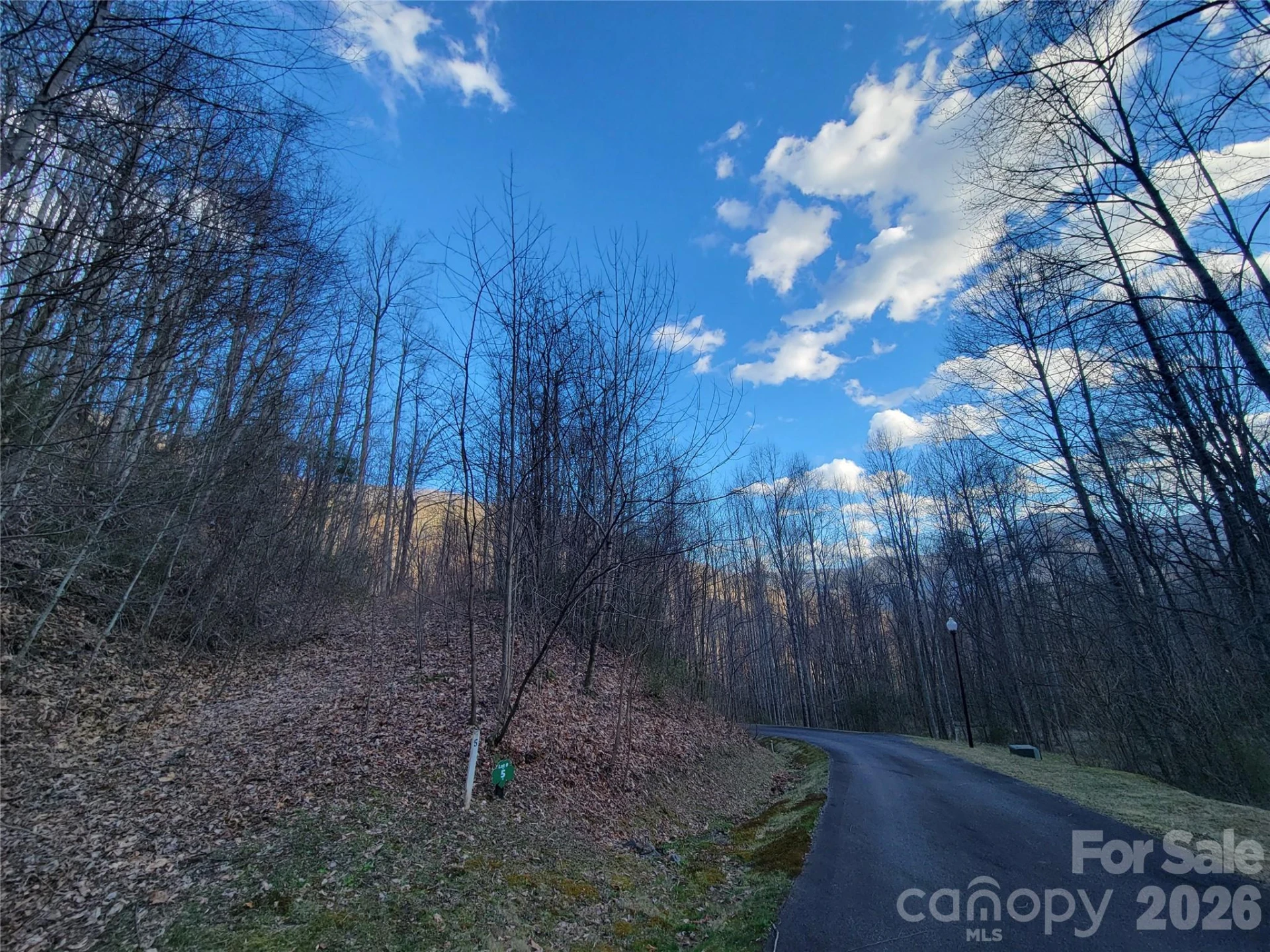 00 Covecrest Lane #1 & 5 - Photo 14