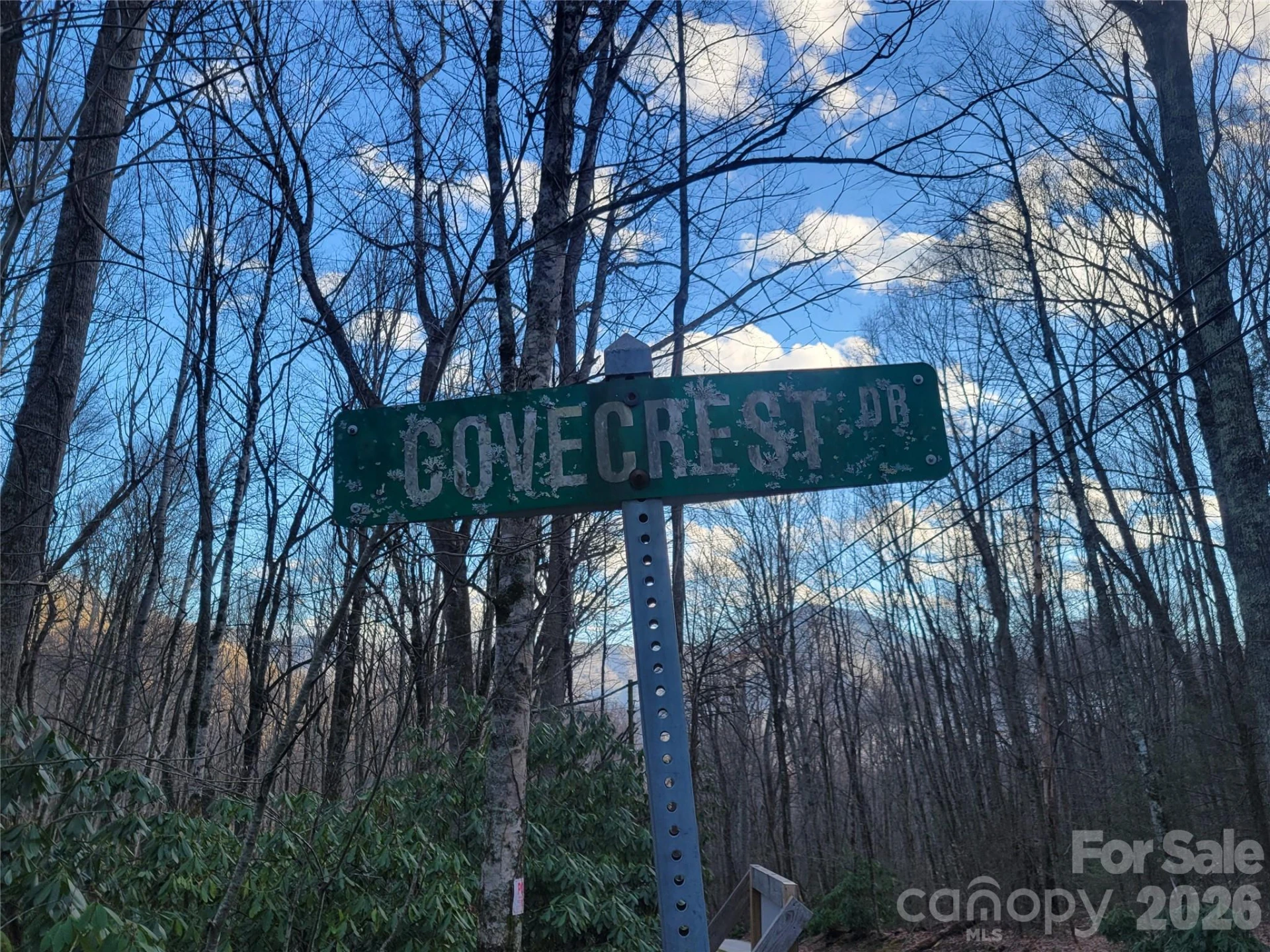00 Covecrest Lane #1 & 5 - Photo 6