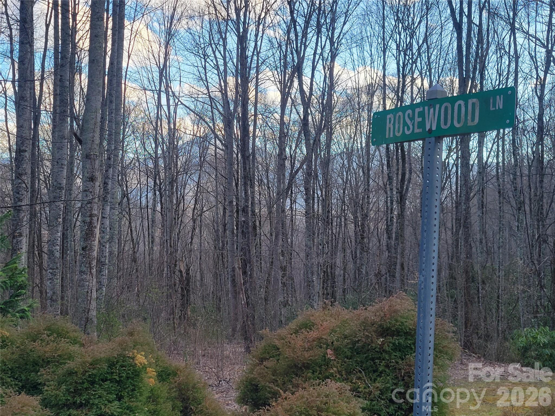 00 Covecrest Lane #1 & 5 - Photo 7