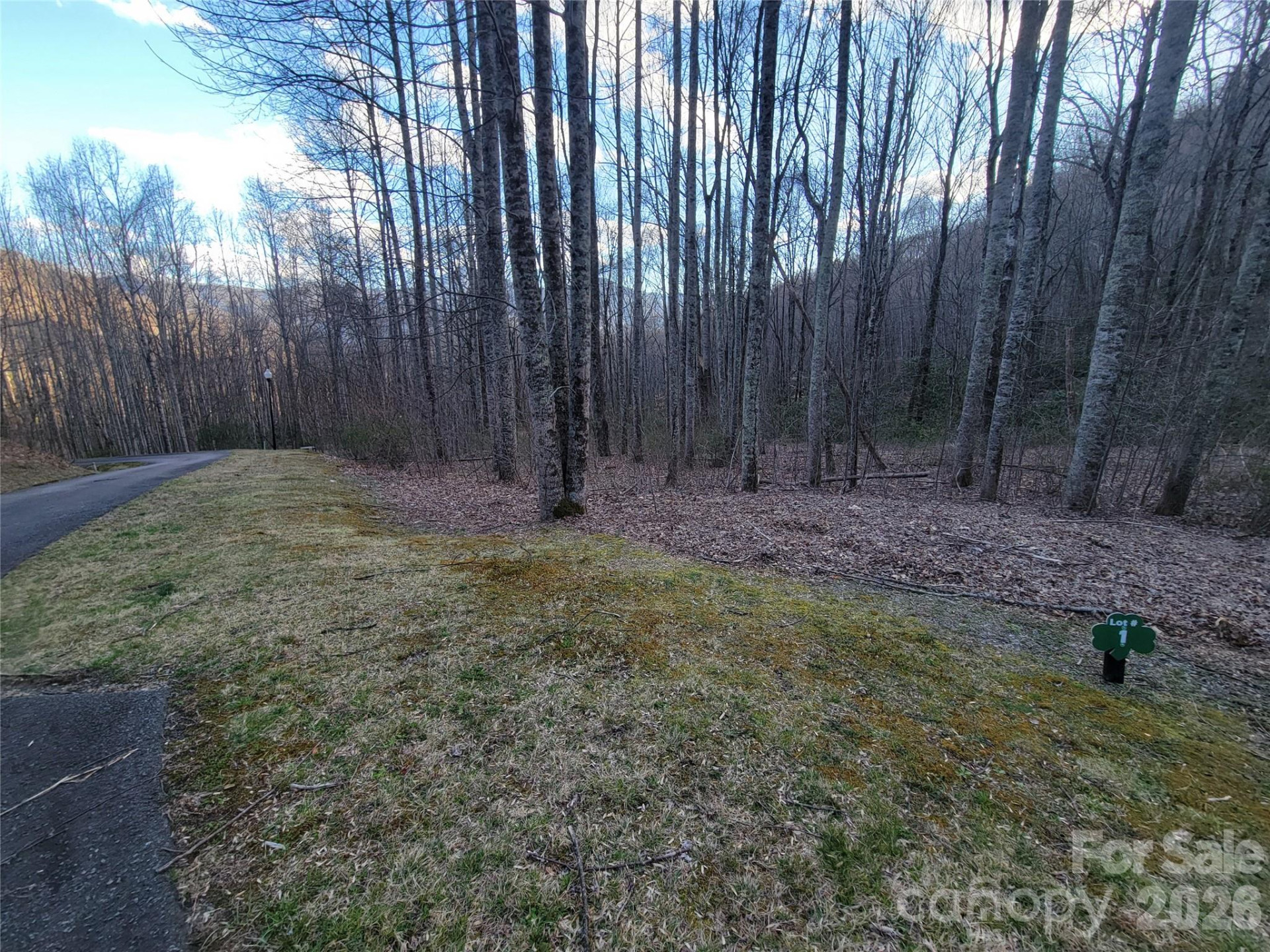 00 Covecrest Lane #1 & 5 - Photo 10