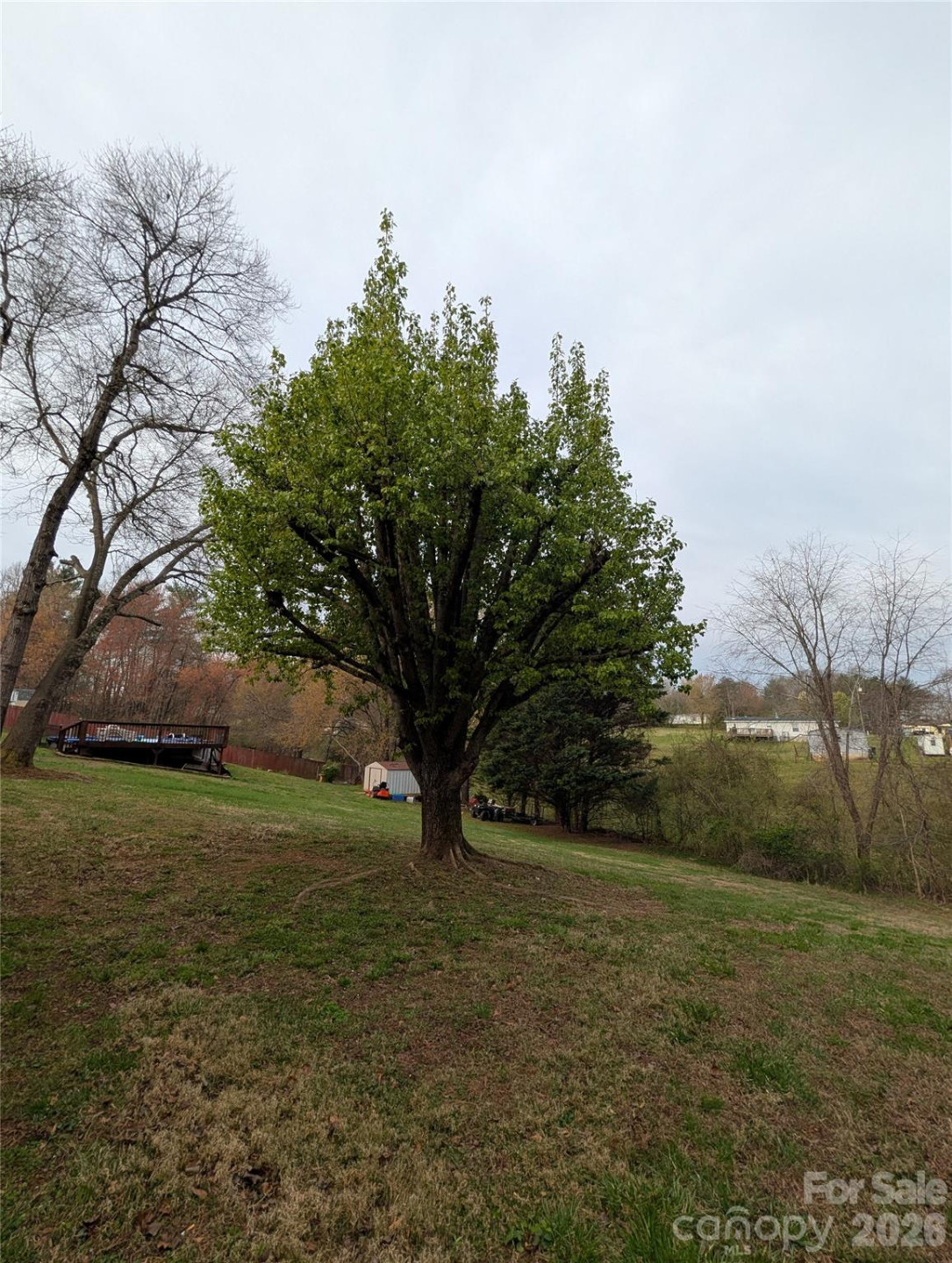 1460 Ivy Lane - Photo 34