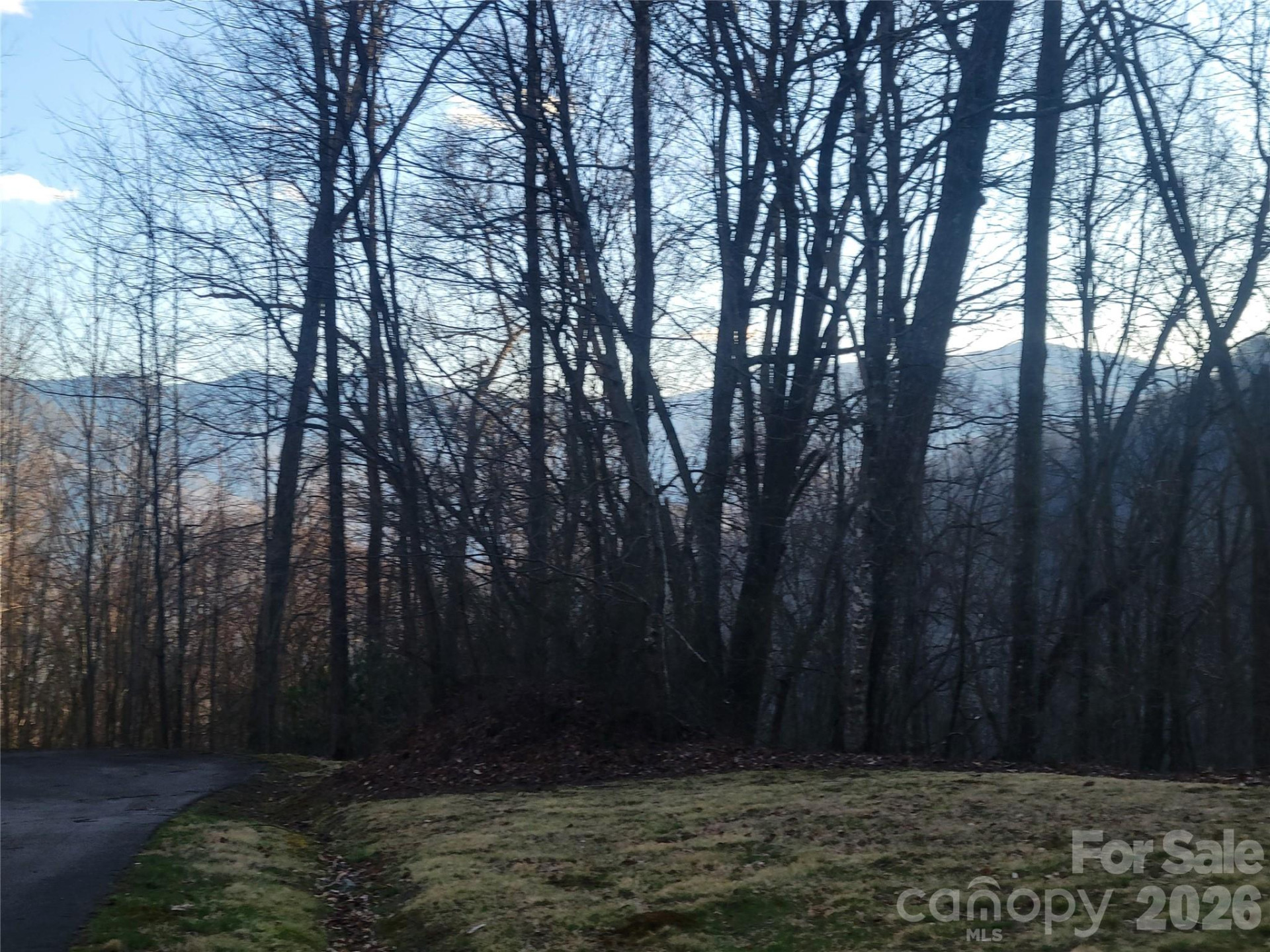 00 Covecrest Lane #11 & 13 - Photo 14