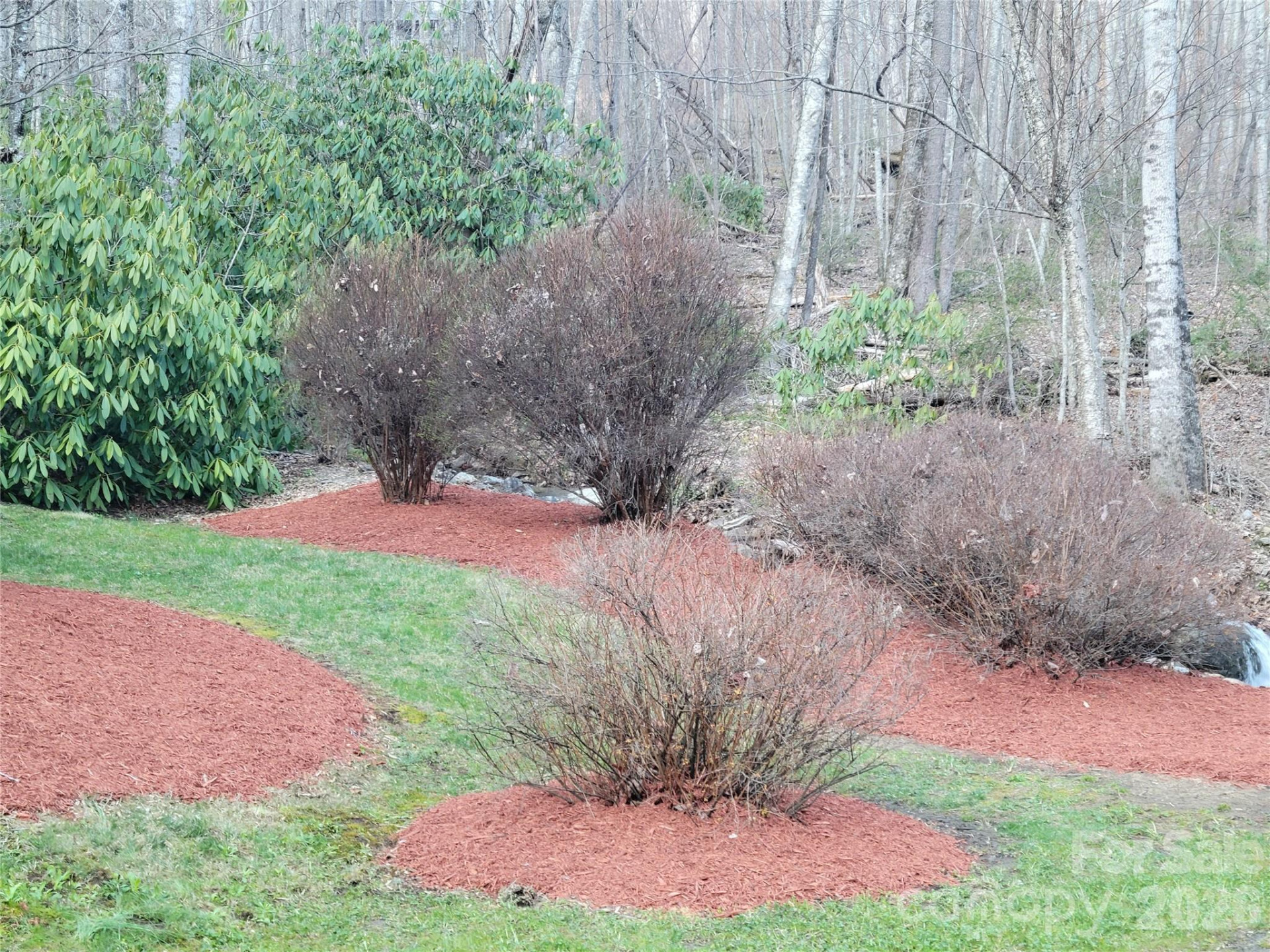 00 Covecrest Lane #11 & 13 - Photo 3