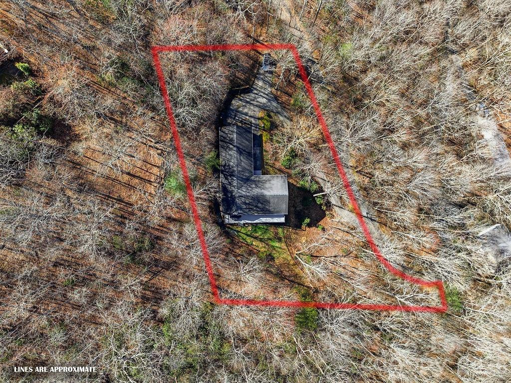 373 Fox Trace Drive - Photo 43