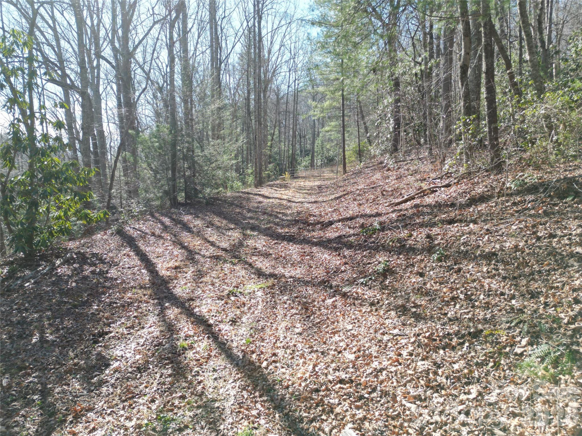 49 Reeds Creek Road - Photo 2