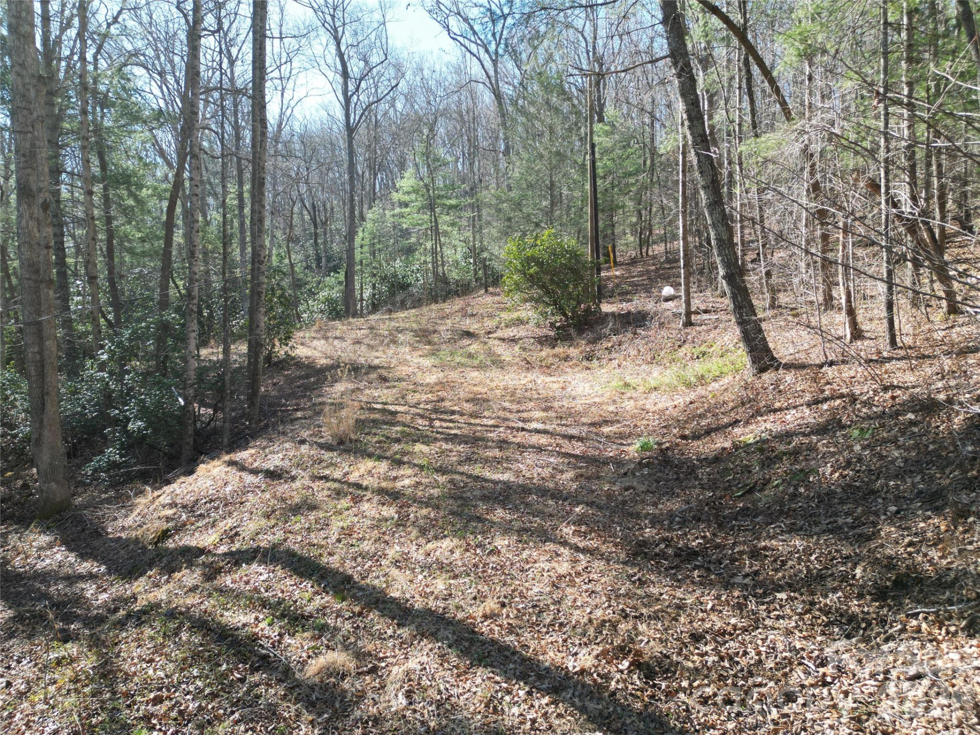 49 Reeds Creek Road - Photo 3