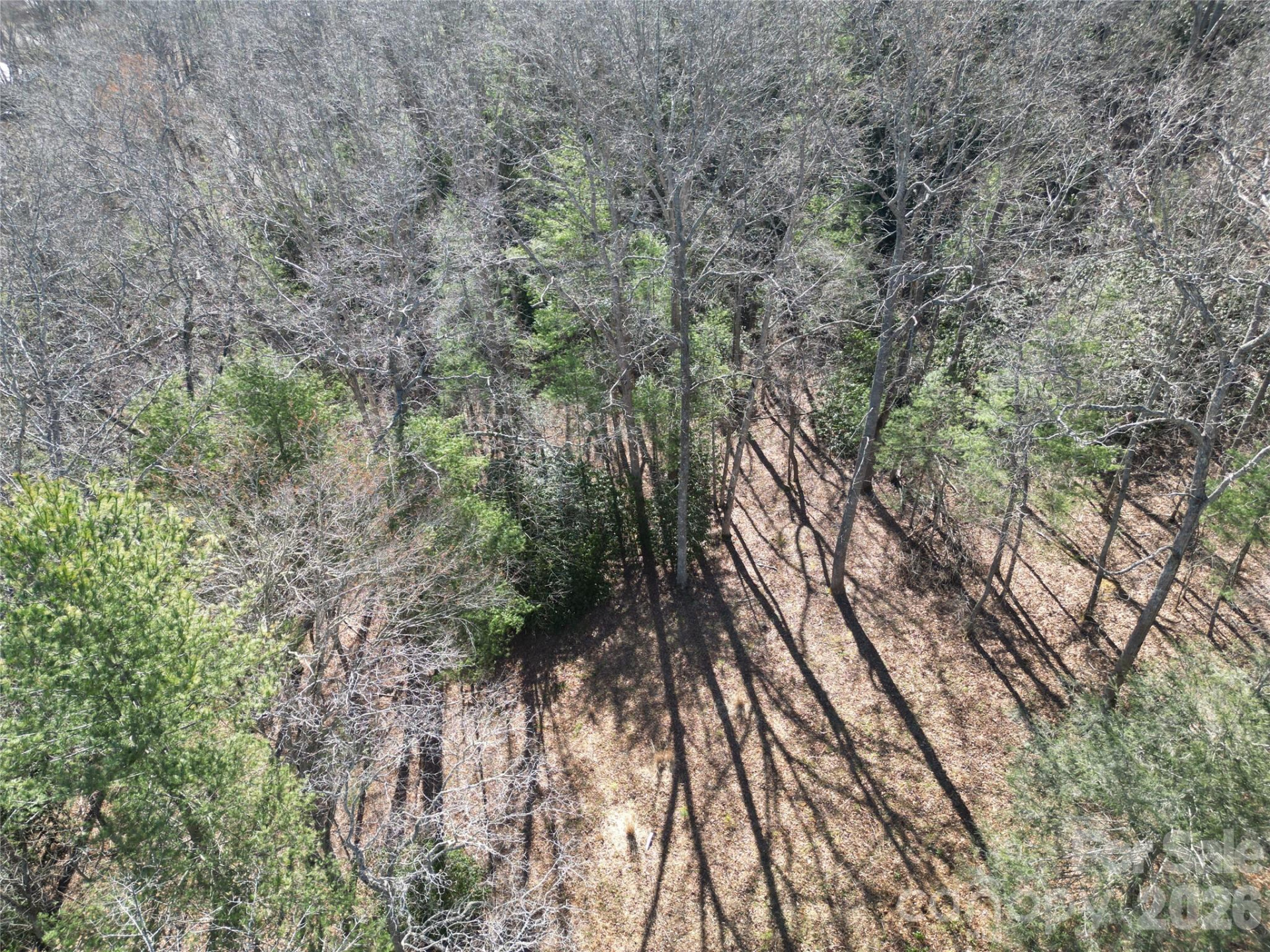 49 Reeds Creek Road - Photo 4