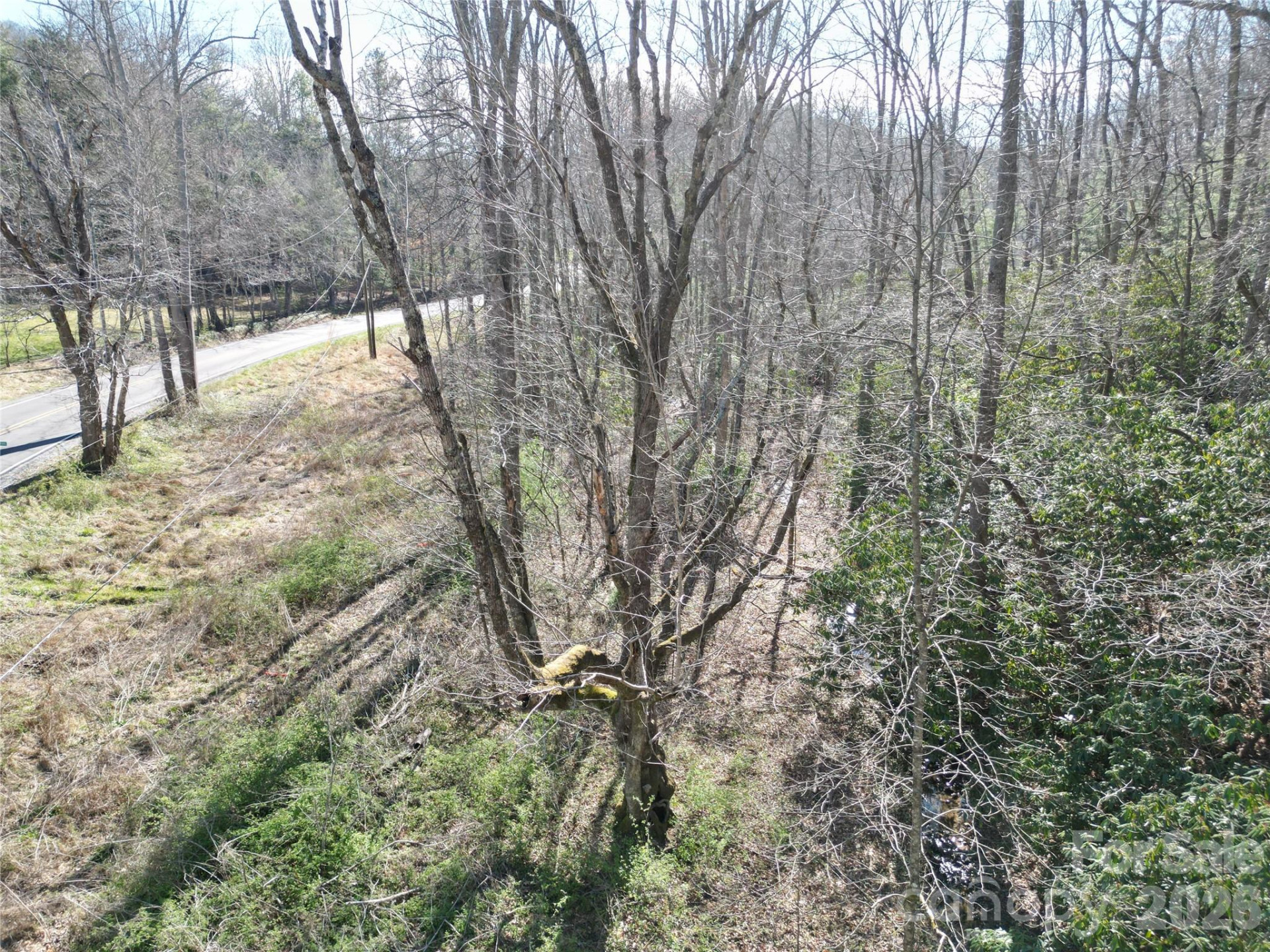 49 Reeds Creek Road - Photo 6