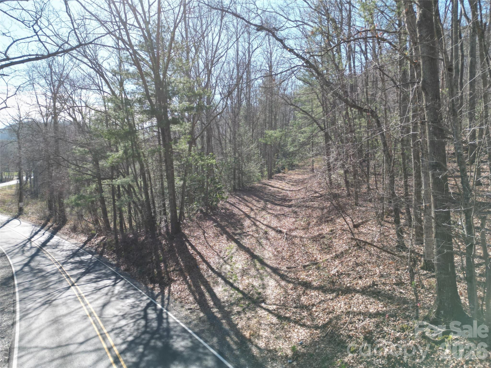 49 Reeds Creek Road - Photo 7