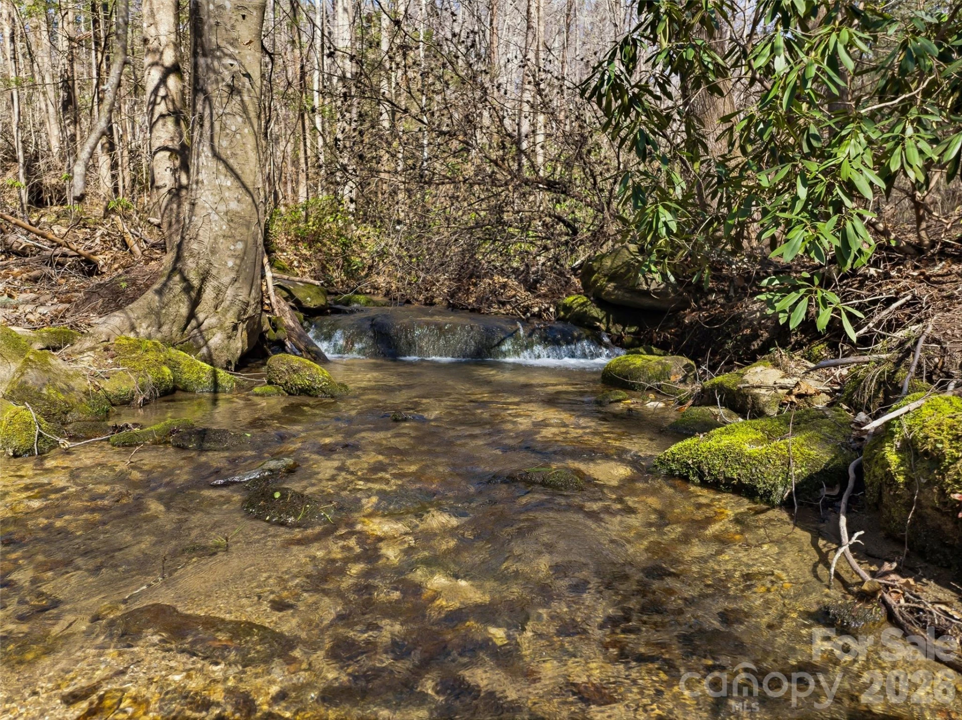 TBD Panther Mountain Road #18 - Photo 26