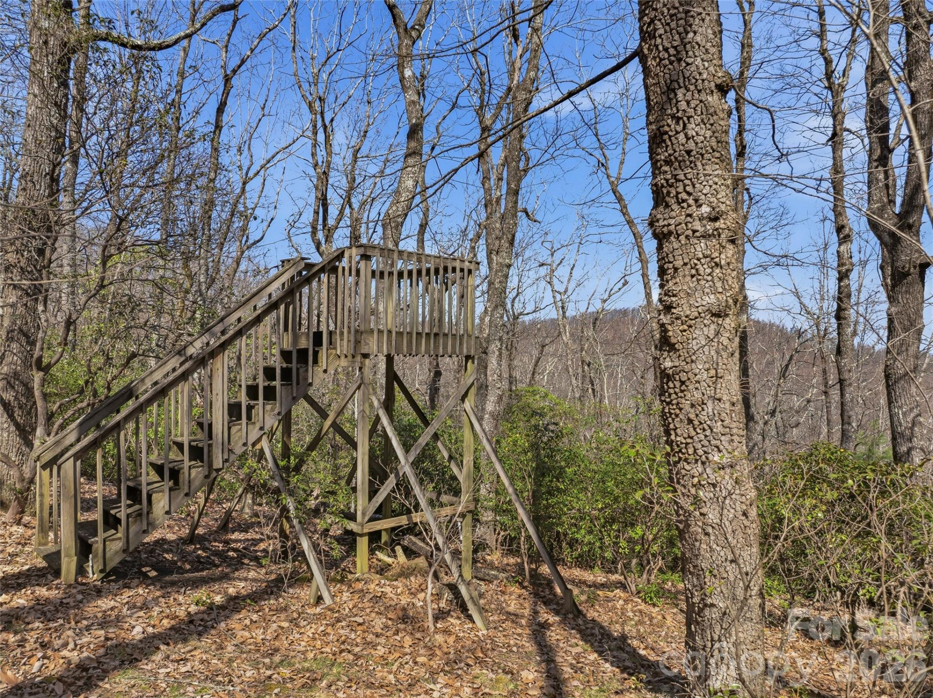 TBD Panther Mountain Road #18 - Photo 9