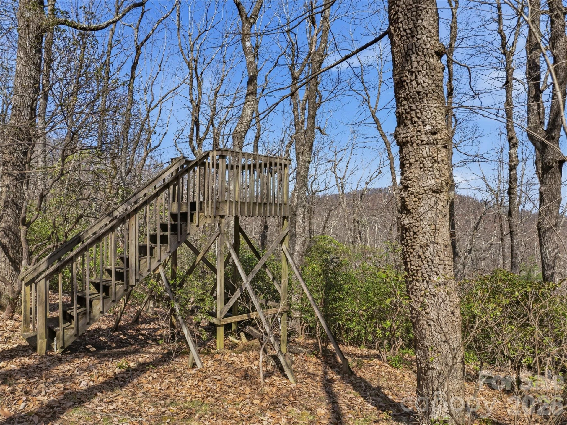TBD Panther Mountain Road #18 - Photo 9