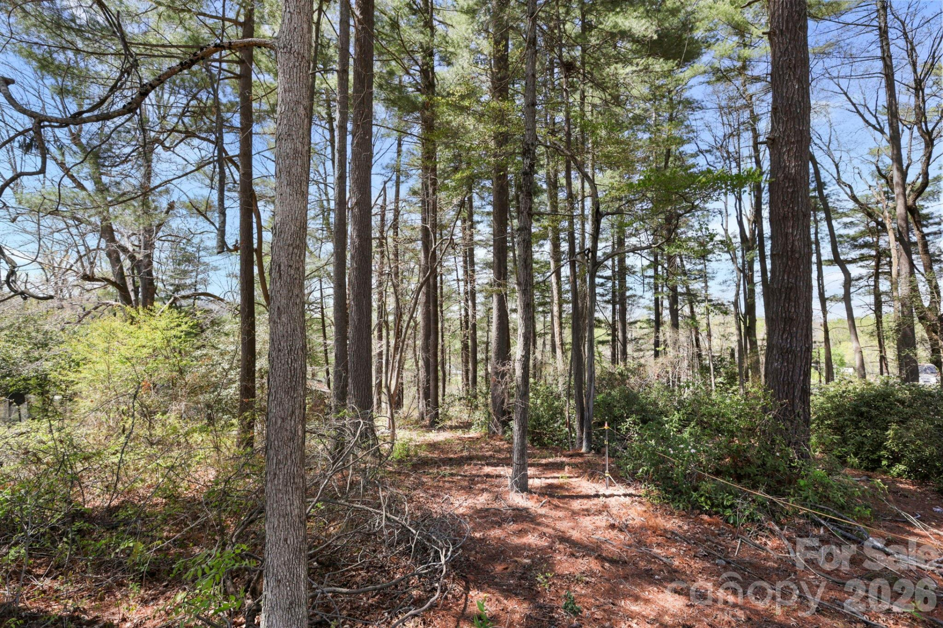 00 Toms Park Circle #21&22 - Photo 2