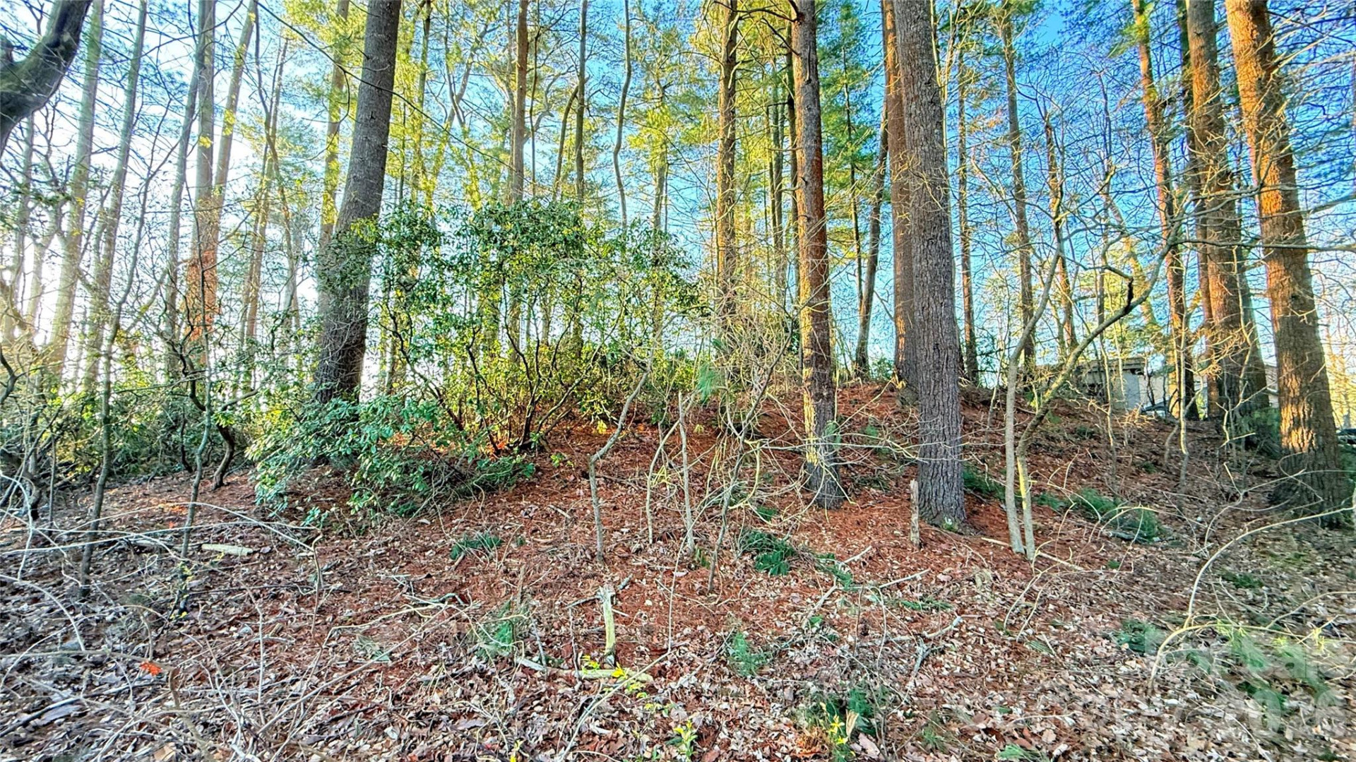 00 Toms Park Circle #21&22 - Photo 11