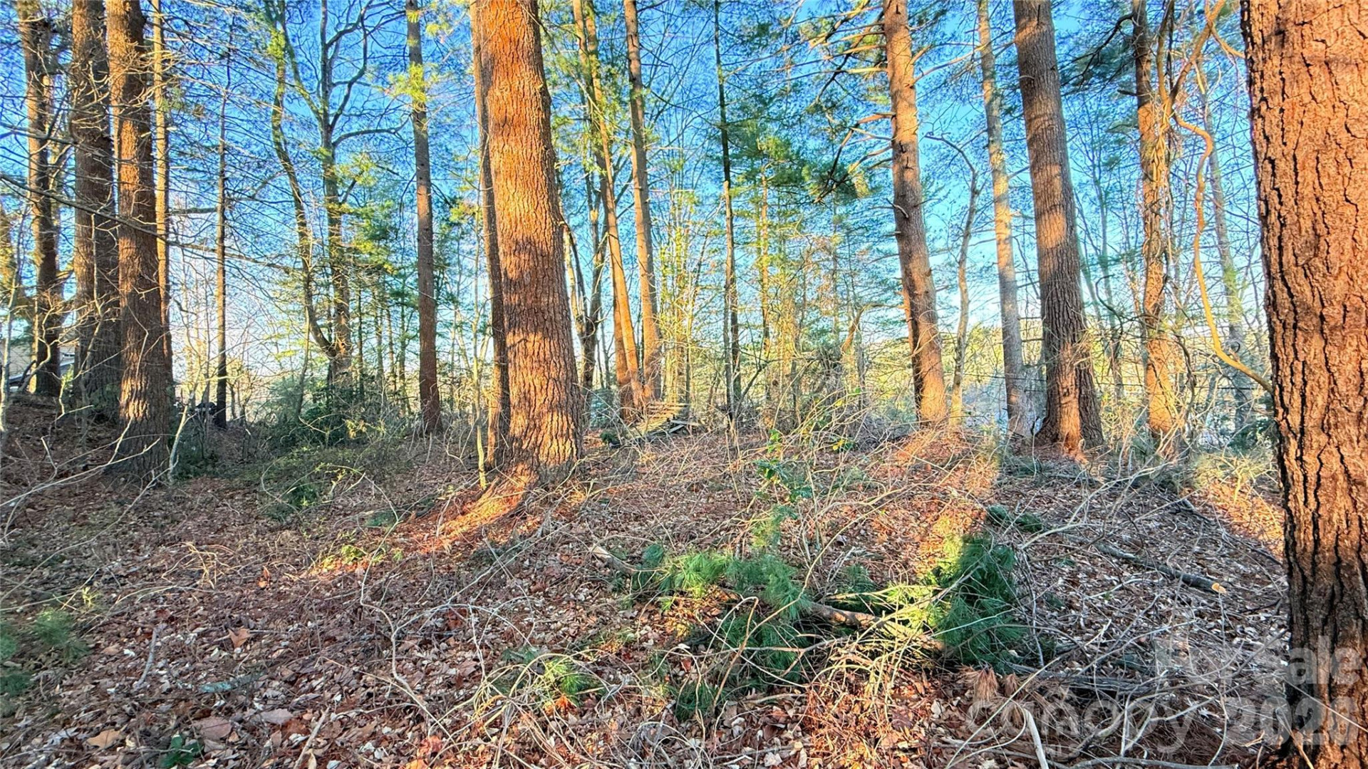 00 Toms Park Circle #21&22 - Photo 12