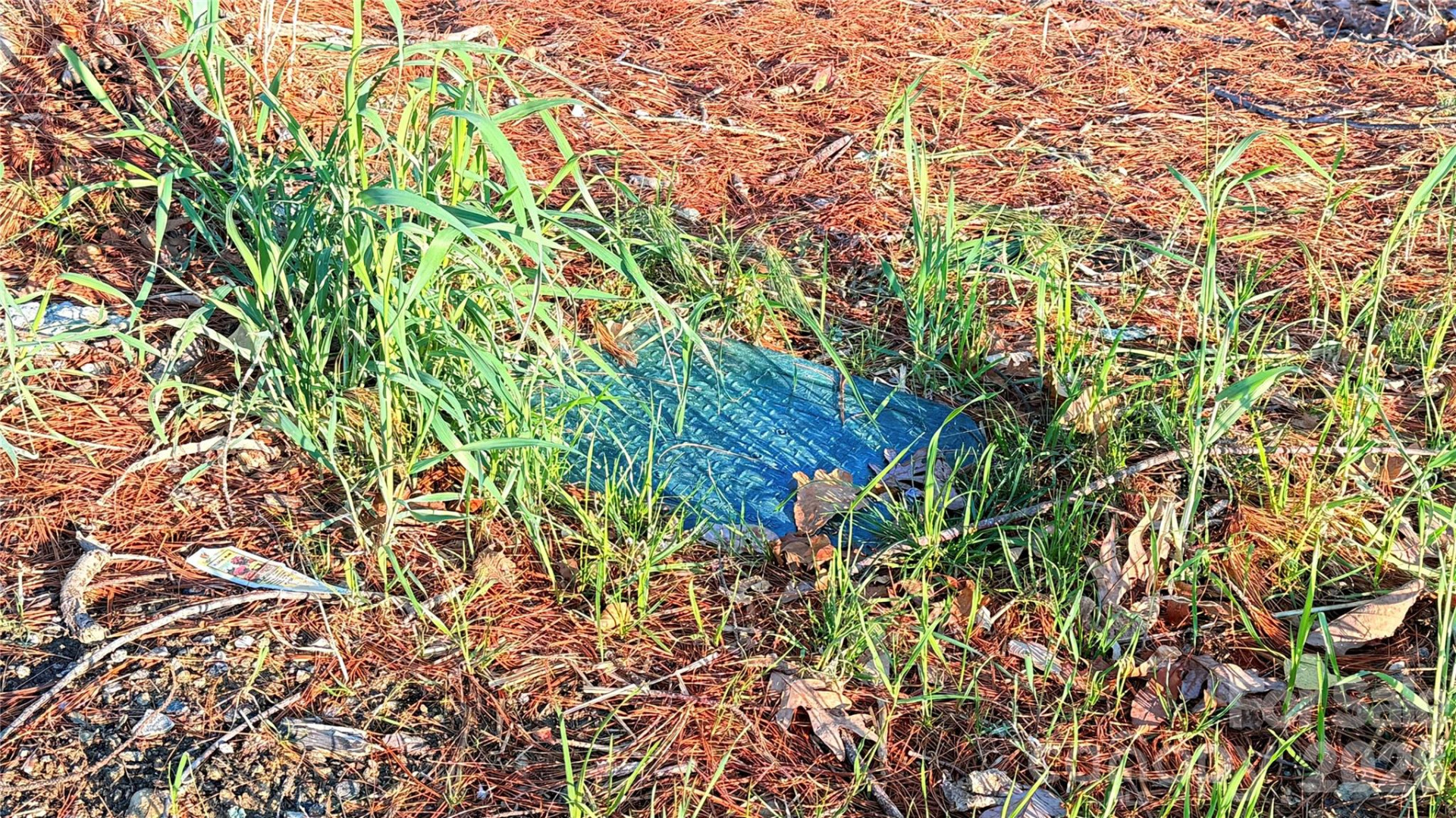 00 Toms Park Circle #21&22 - Photo 13