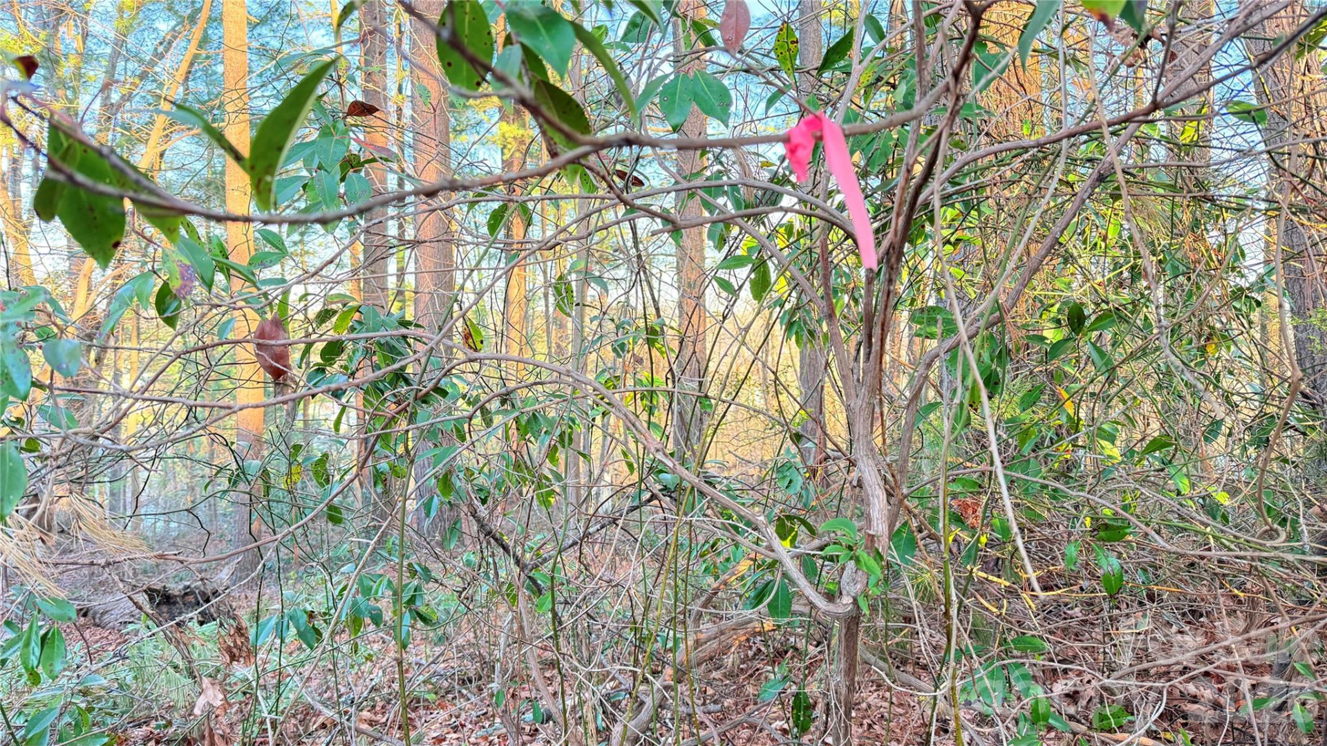 00 Toms Park Circle #21&22 - Photo 16