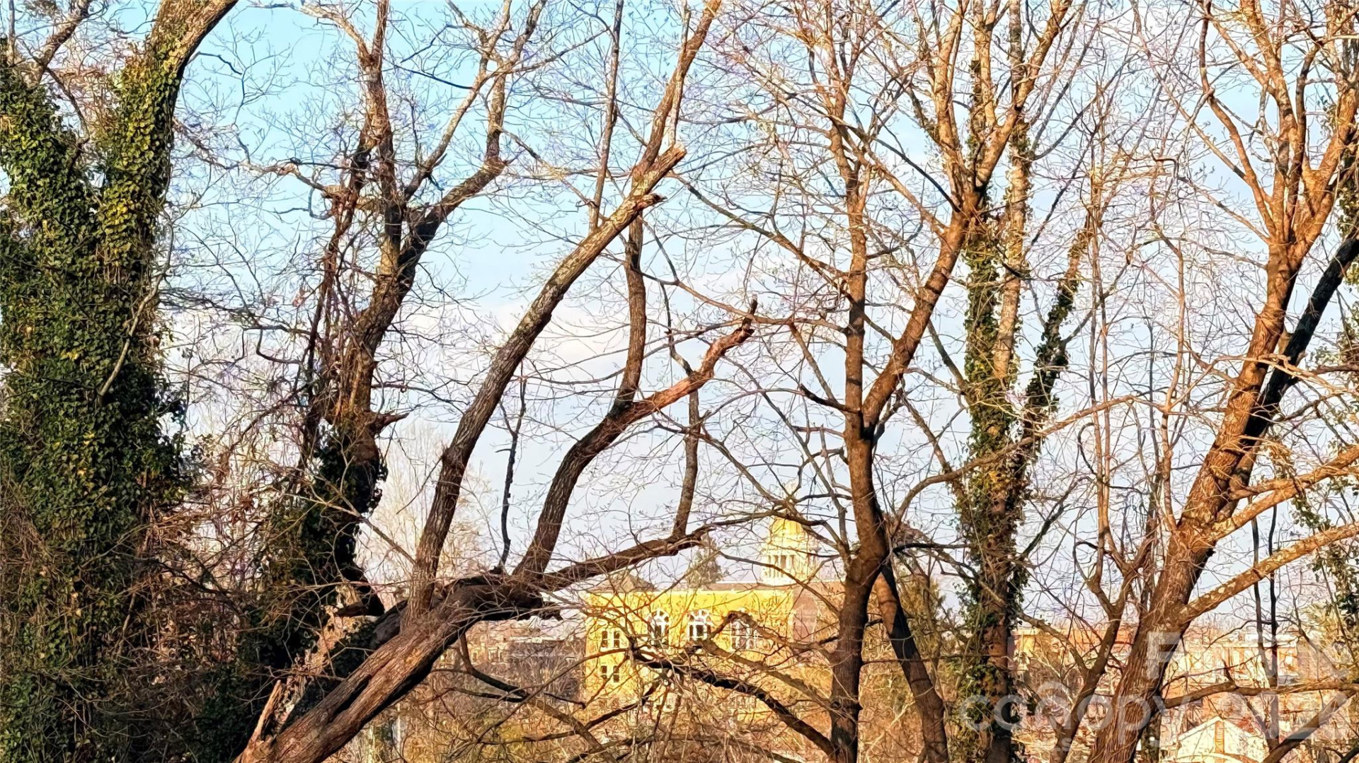 00 Toms Park Circle #21&22 - Photo 3