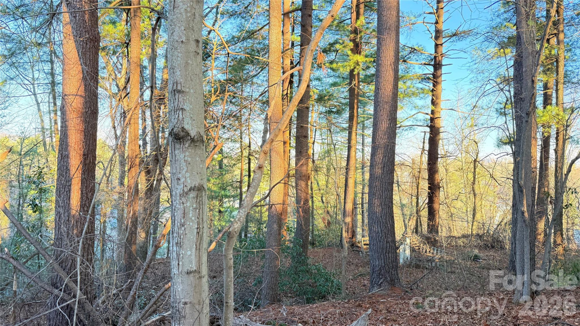 00 Toms Park Circle #21&22 - Photo 4