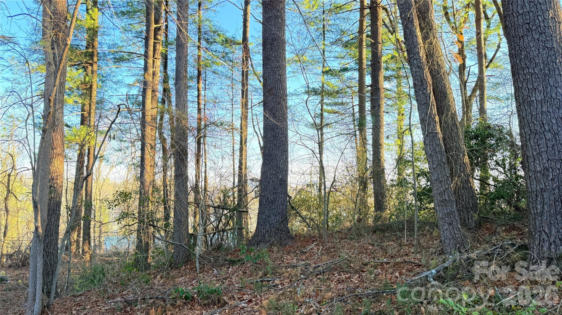 00 Toms Park Circle #21&22 - Photo 5