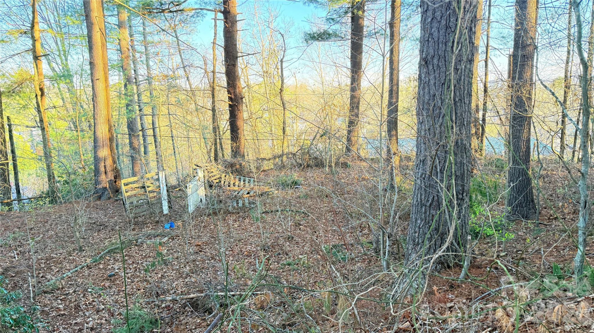 00 Toms Park Circle #21&22 - Photo 6