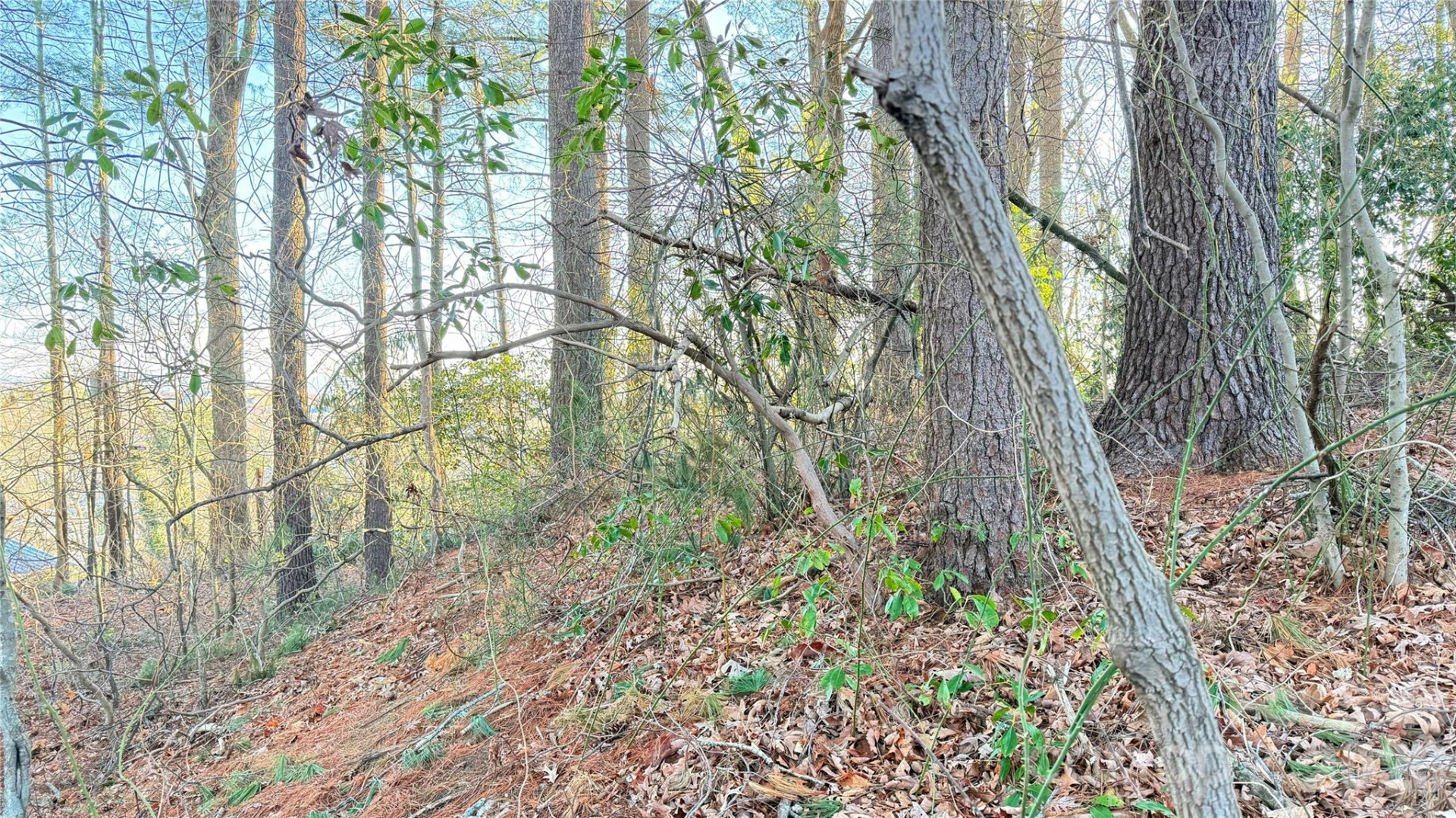 00 Toms Park Circle #21&22 - Photo 7