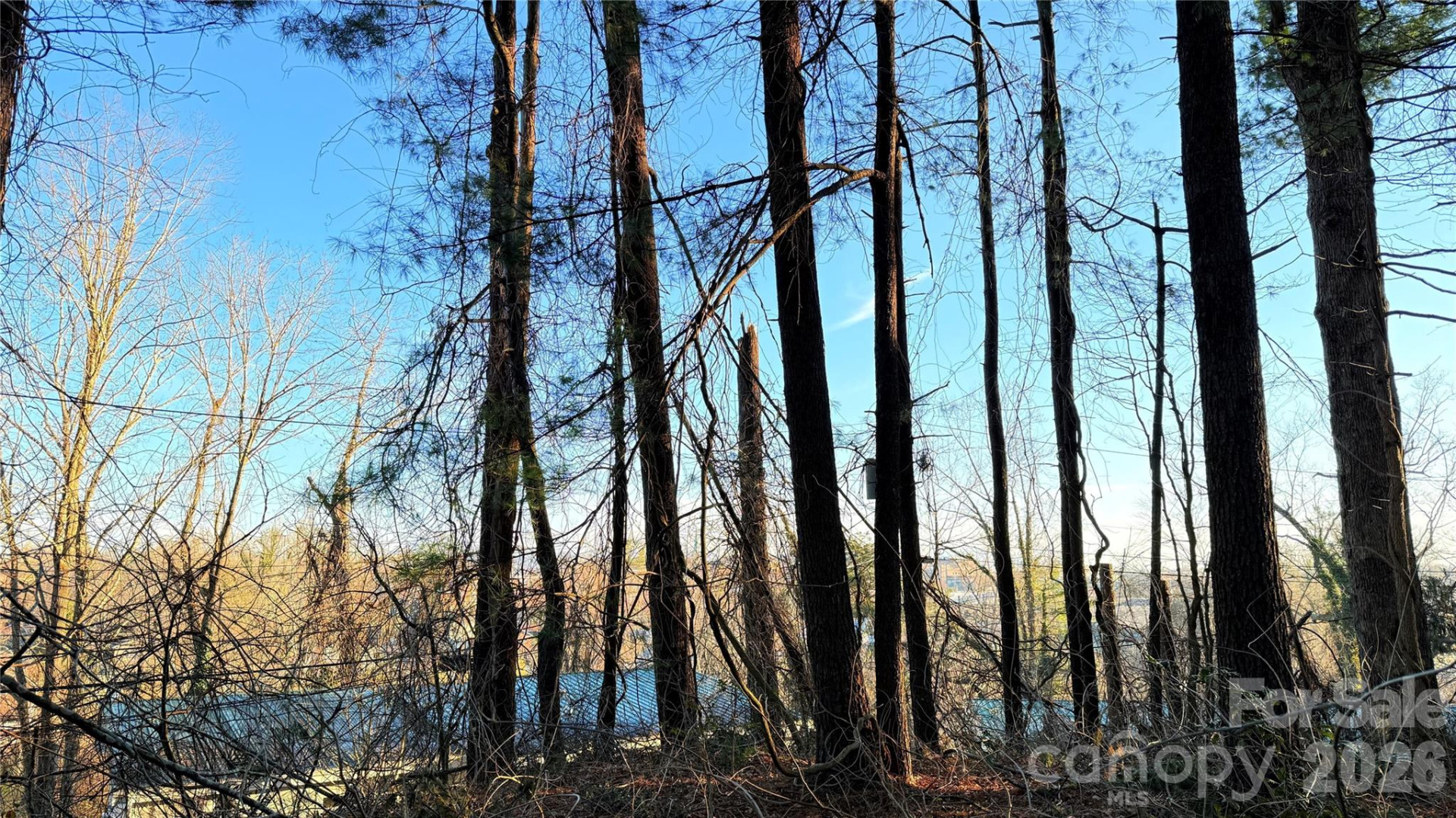 00 Toms Park Circle #21&22 - Photo 8