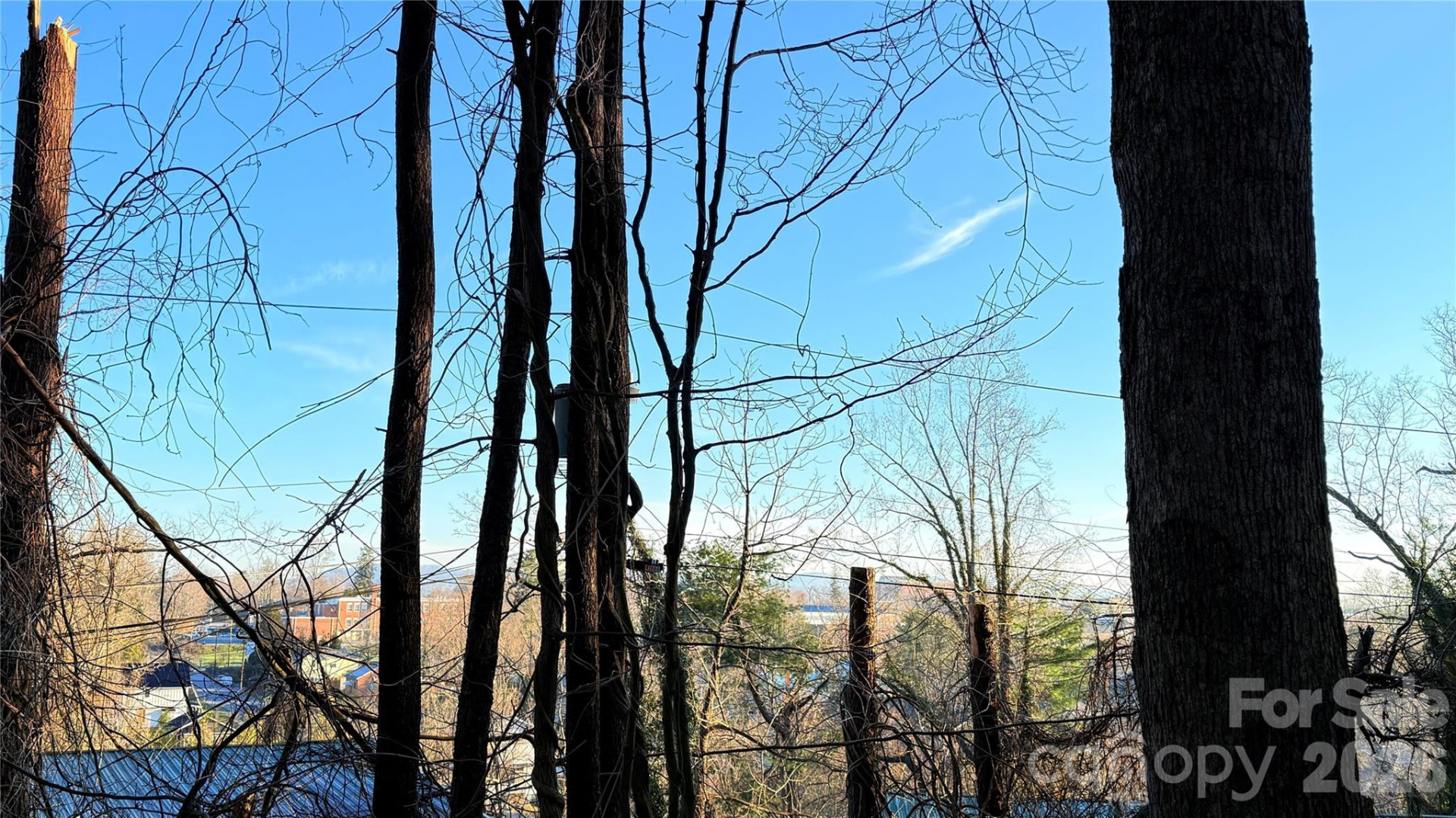 00 Toms Park Circle #21&22 - Photo 9