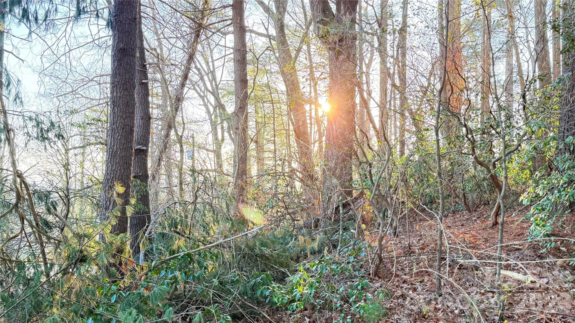 00 Toms Park Circle #21&22 - Photo 10