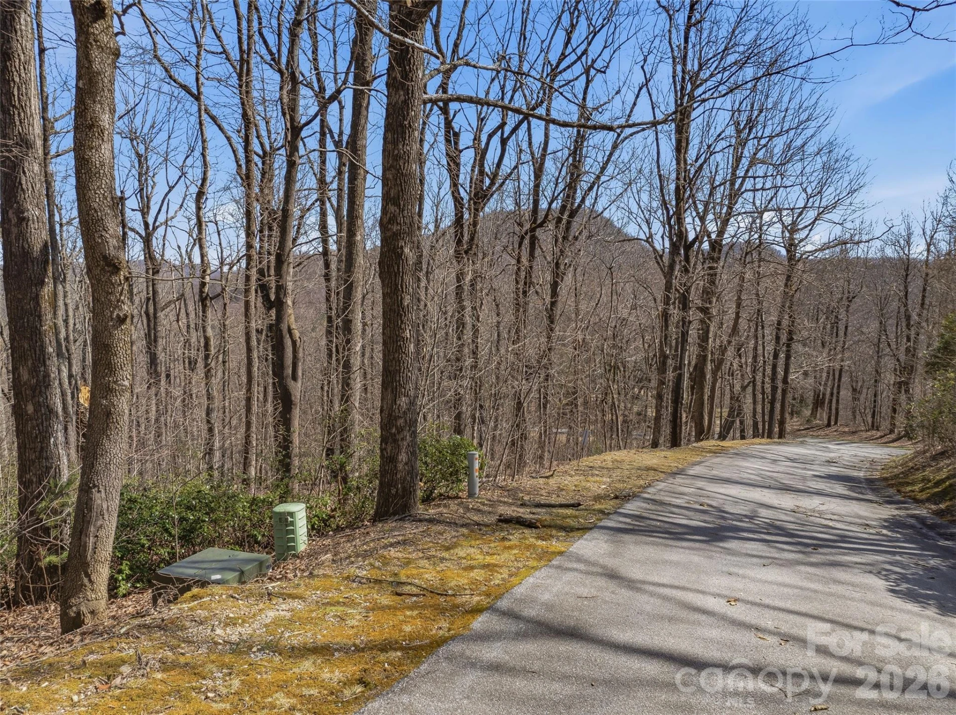 TBD Wild Magnolia Way #52
