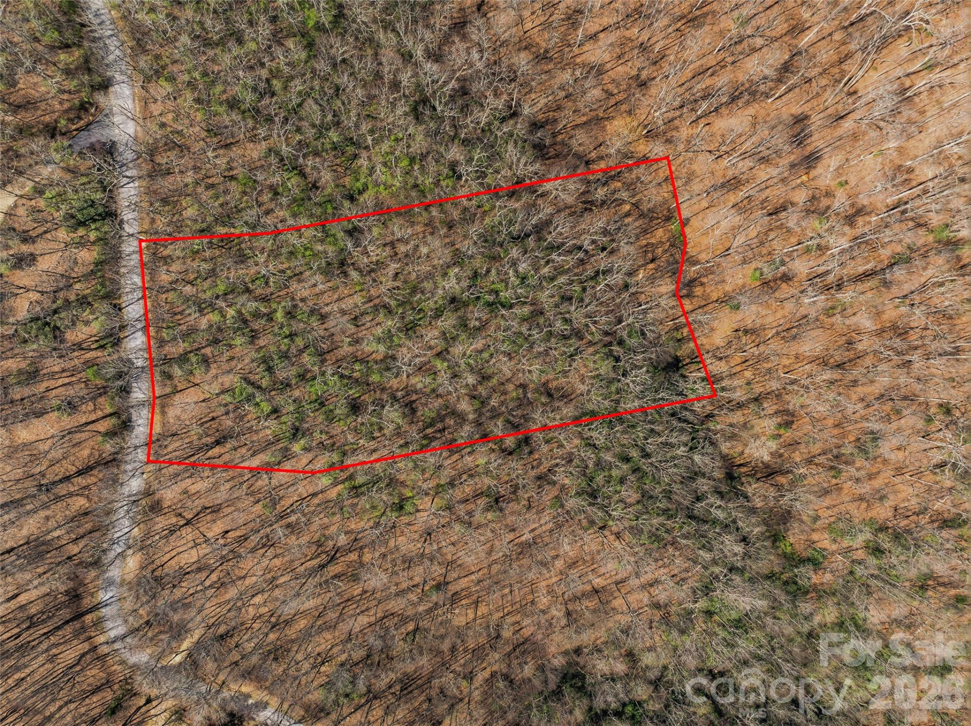 TBD Wild Magnolia Way #52 - Photo 12