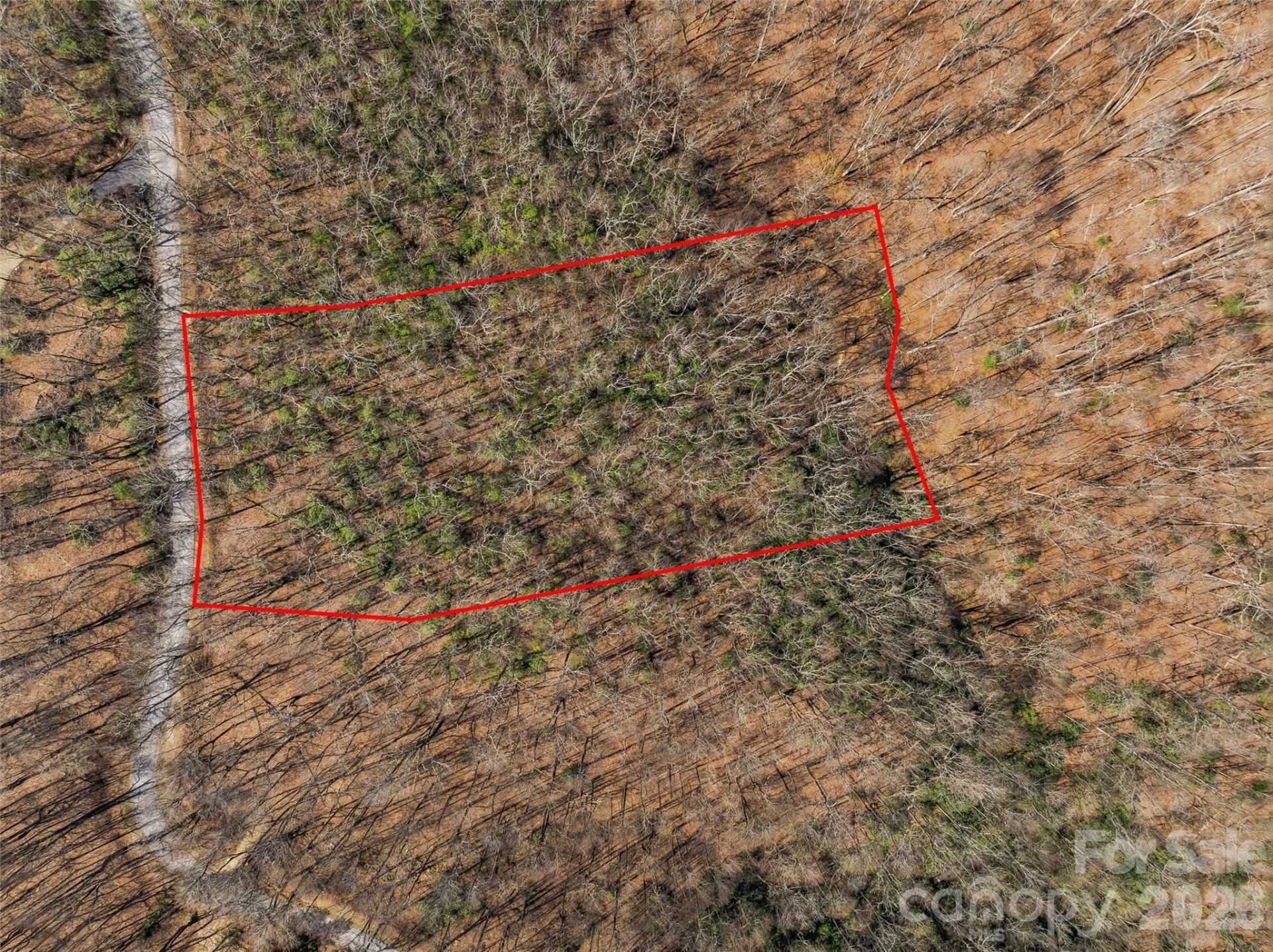 TBD Wild Magnolia Way #52 - Photo 12