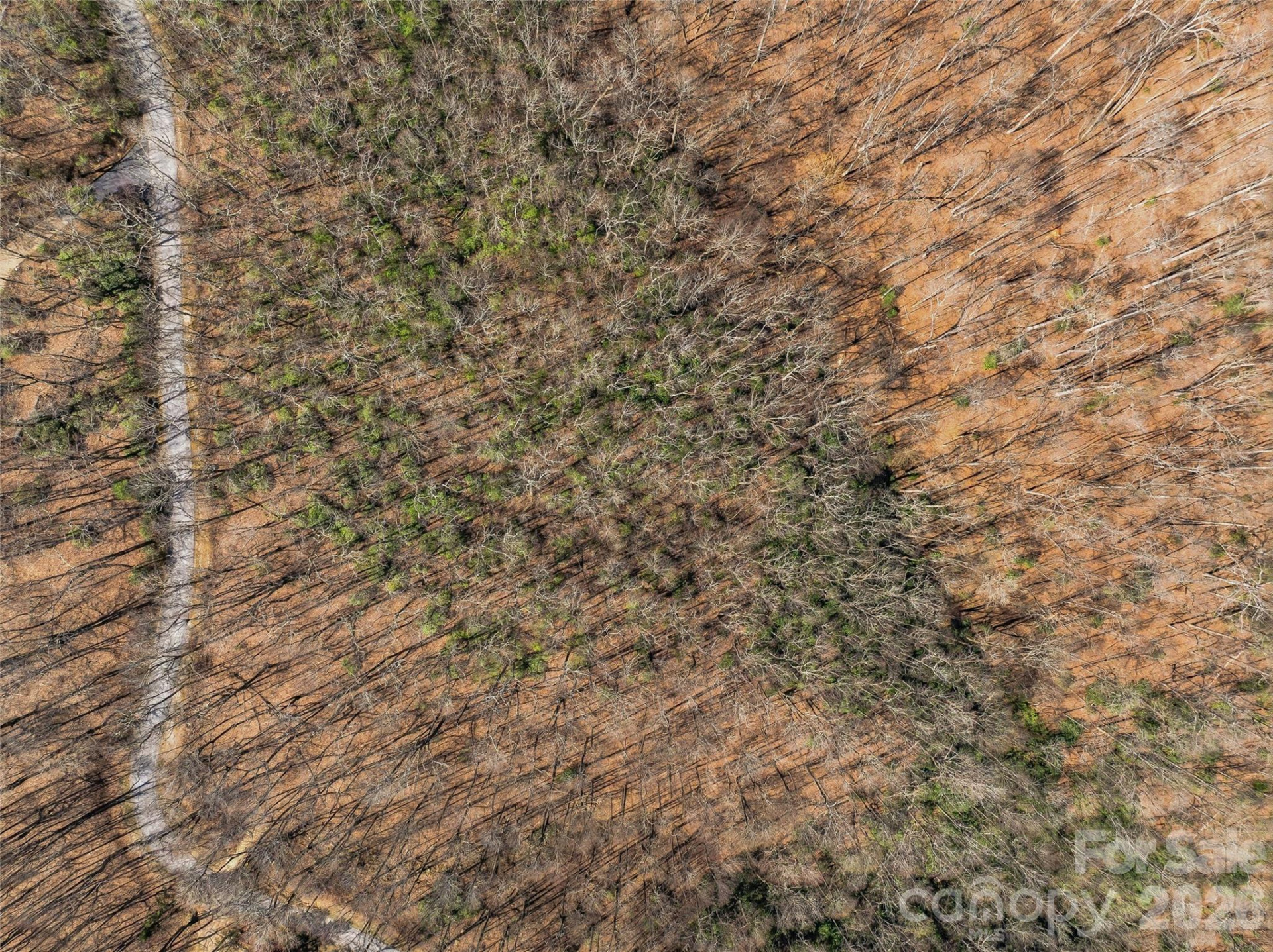 TBD Wild Magnolia Way #52 - Photo 13