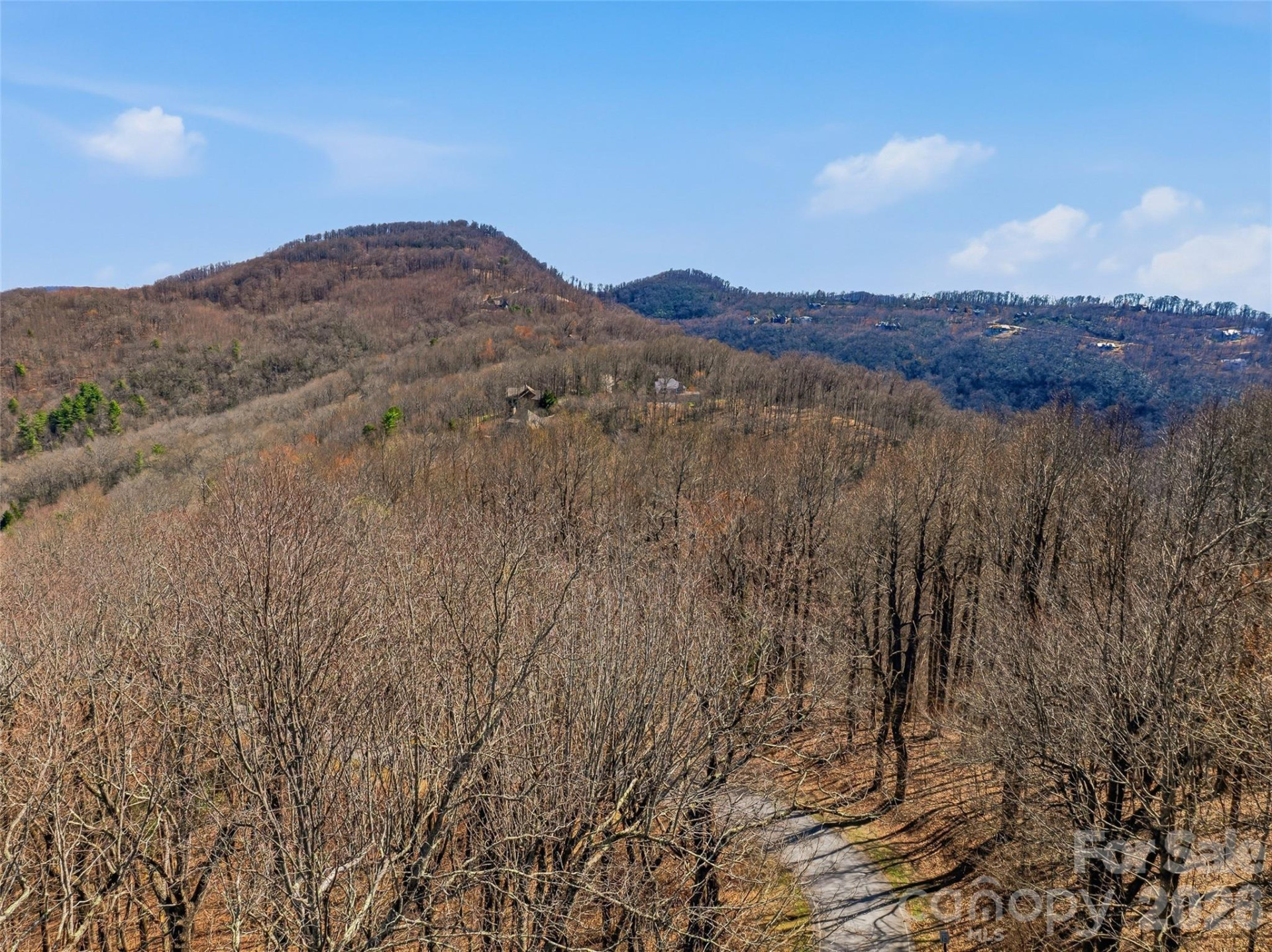 TBD Wild Magnolia Way #52 - Photo 19