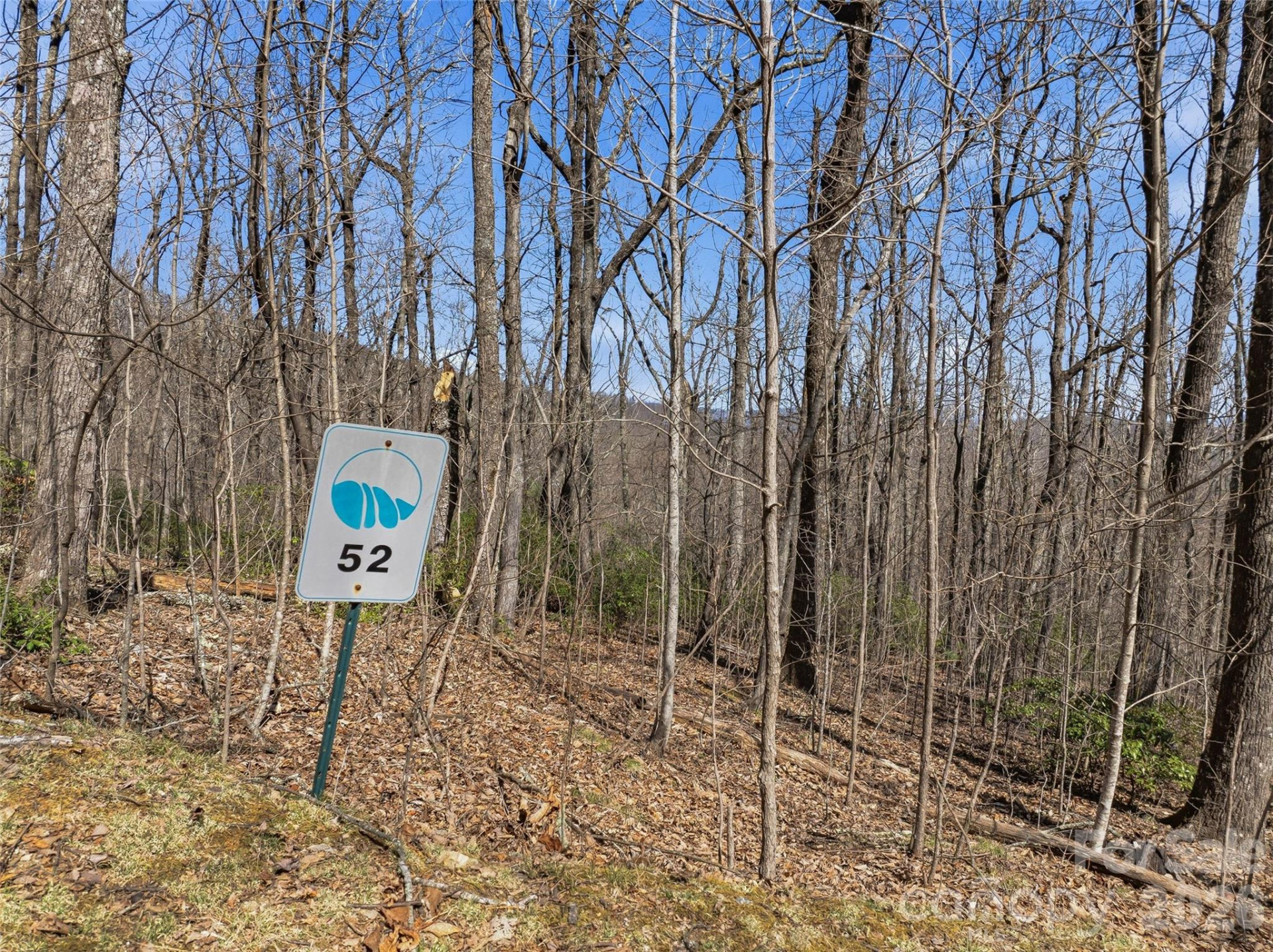 TBD Wild Magnolia Way #52 - Photo 3