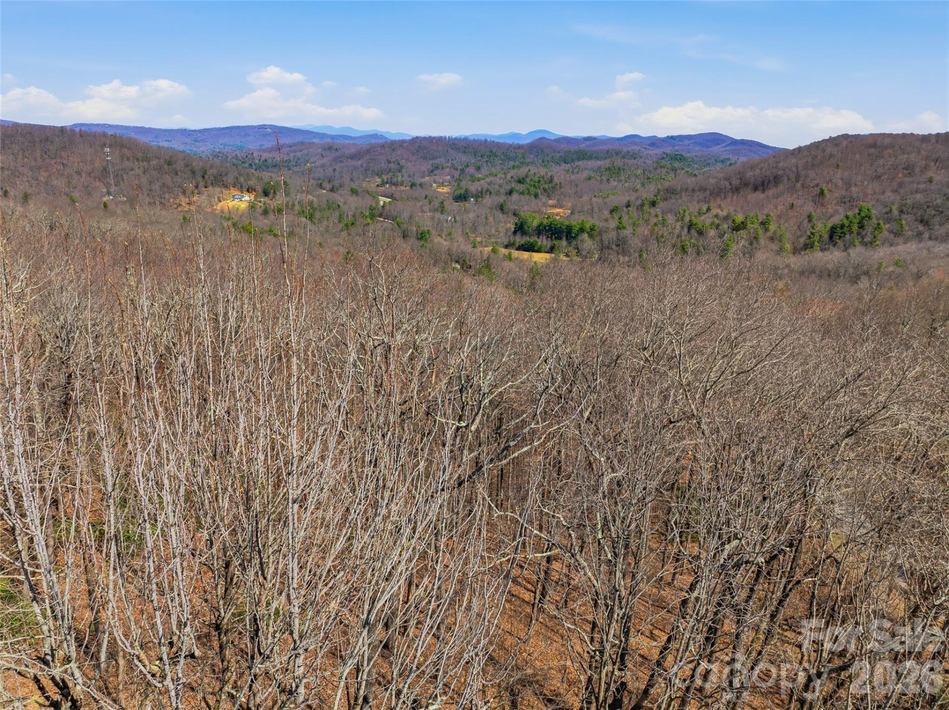 TBD Wild Magnolia Way #52 - Photo 21