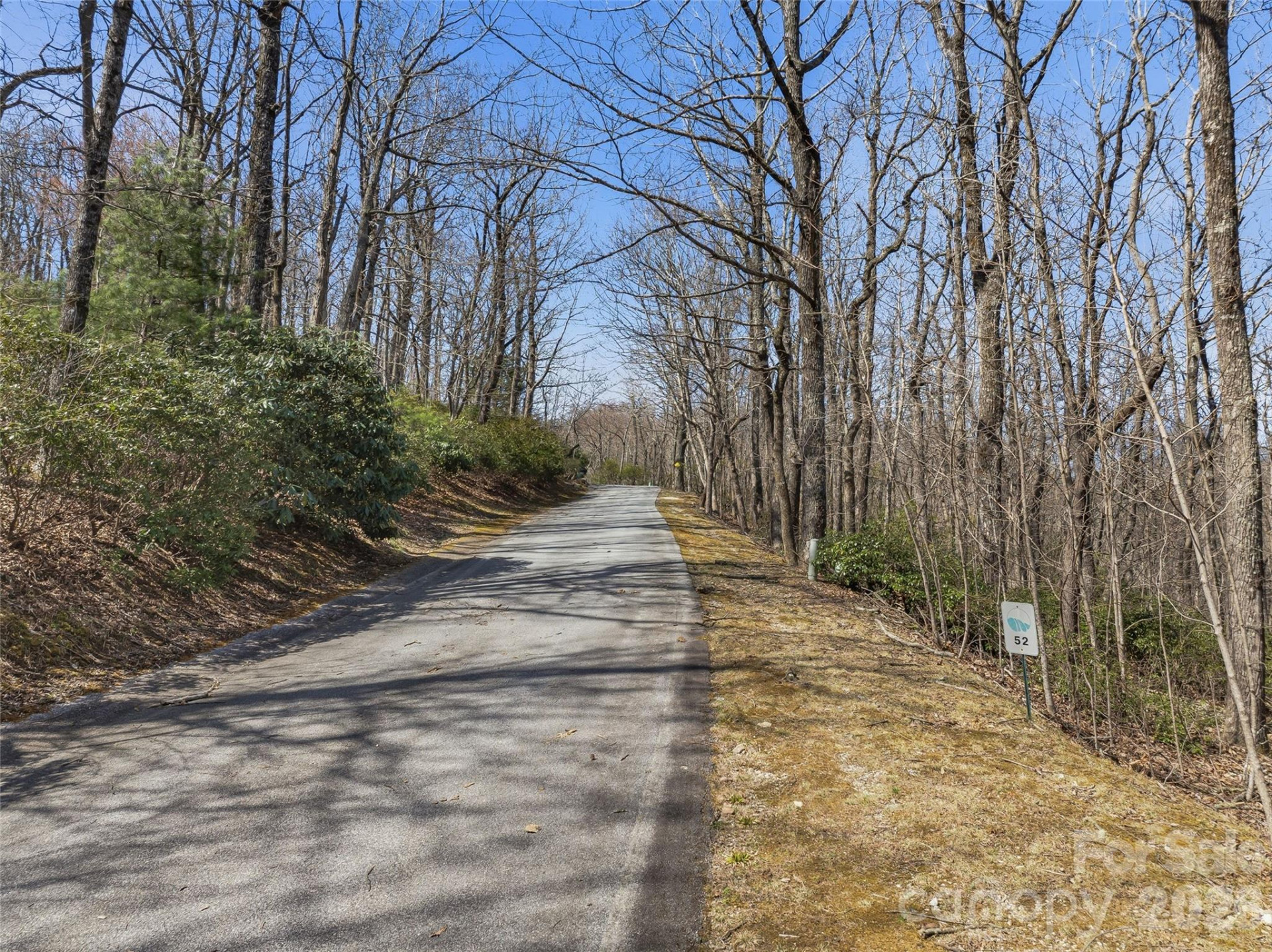 TBD Wild Magnolia Way #52 - Photo 4