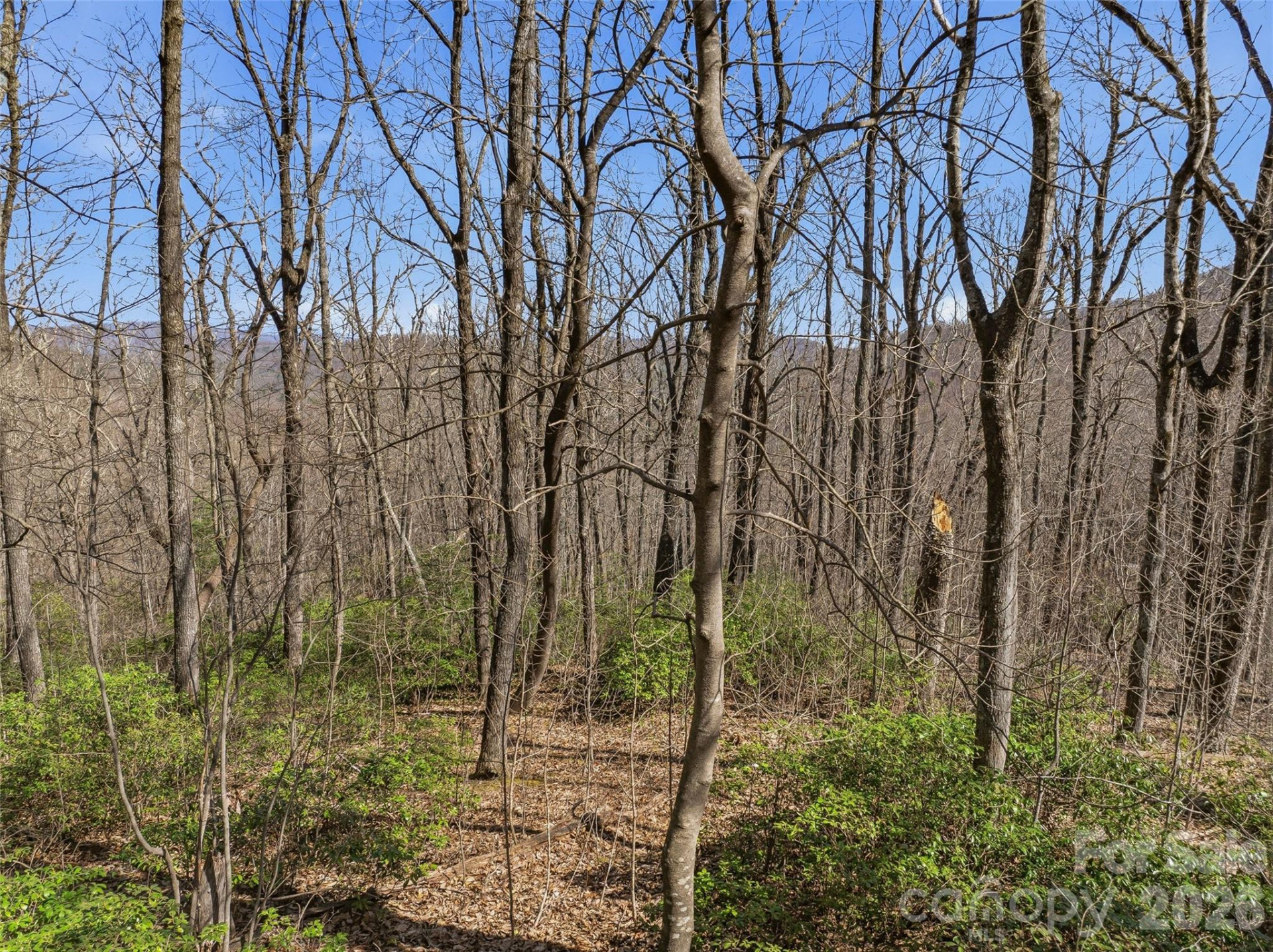 TBD Wild Magnolia Way #52 - Photo 5