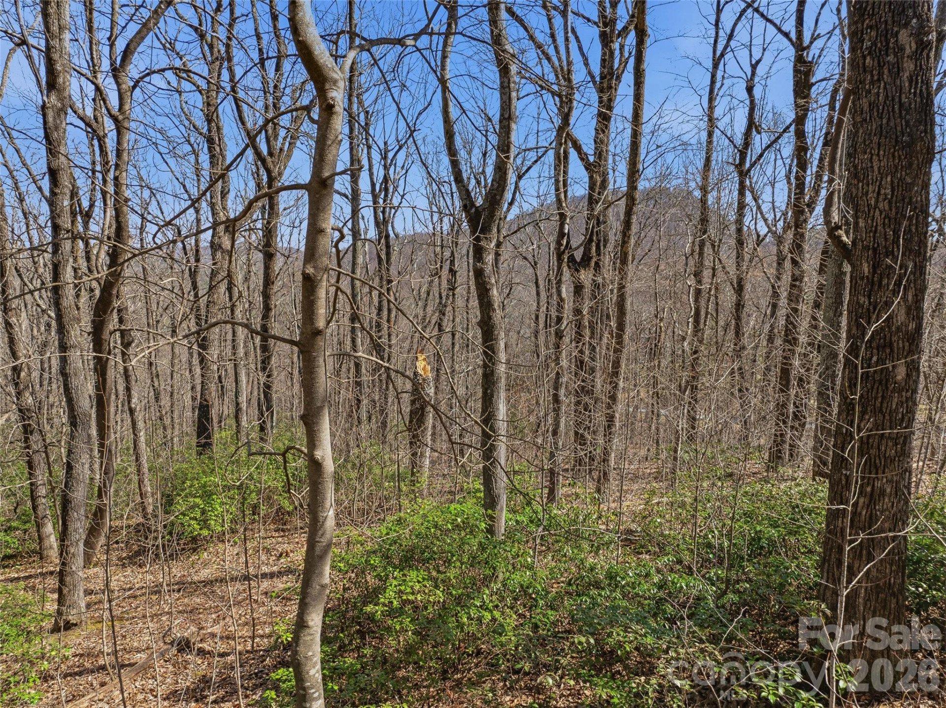 TBD Wild Magnolia Way #52 - Photo 6