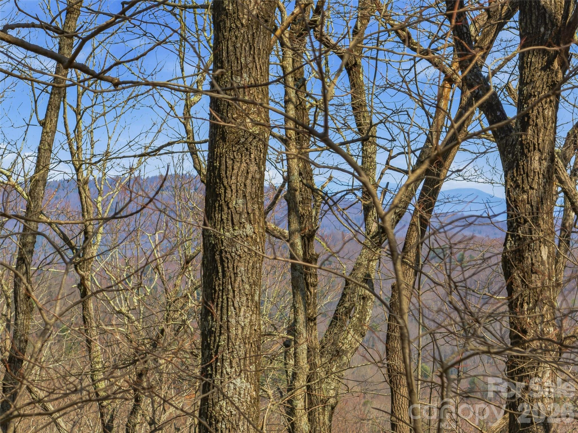 TBD Wild Magnolia Way #52 - Photo 7