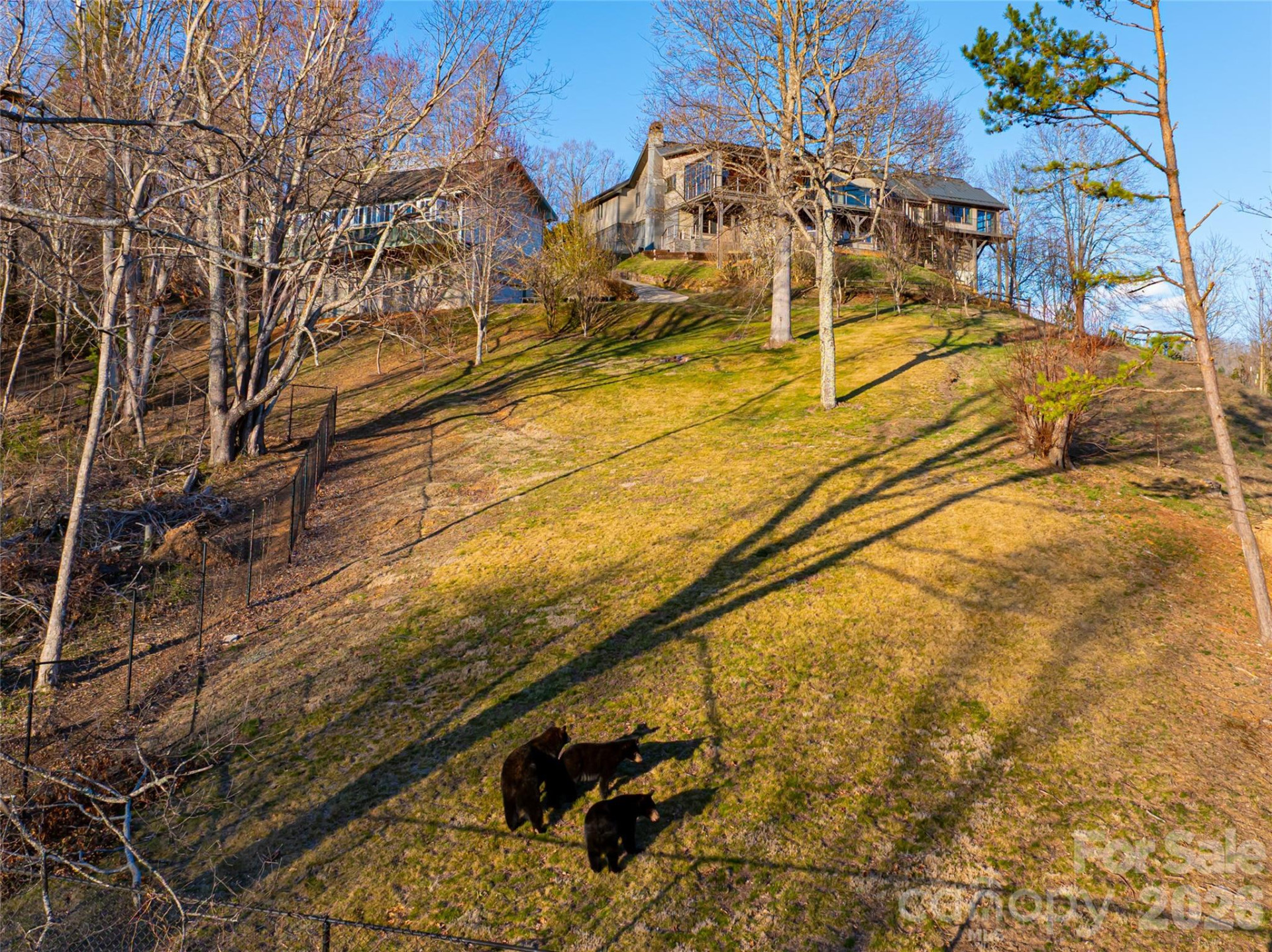 525 Elk Mountain Scenic Highway - Photo 35