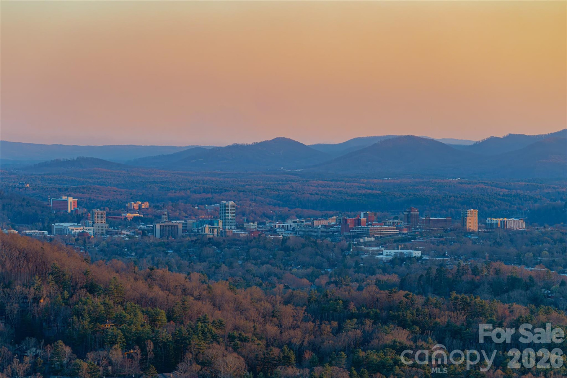 525 Elk Mountain Scenic Highway - Photo 37