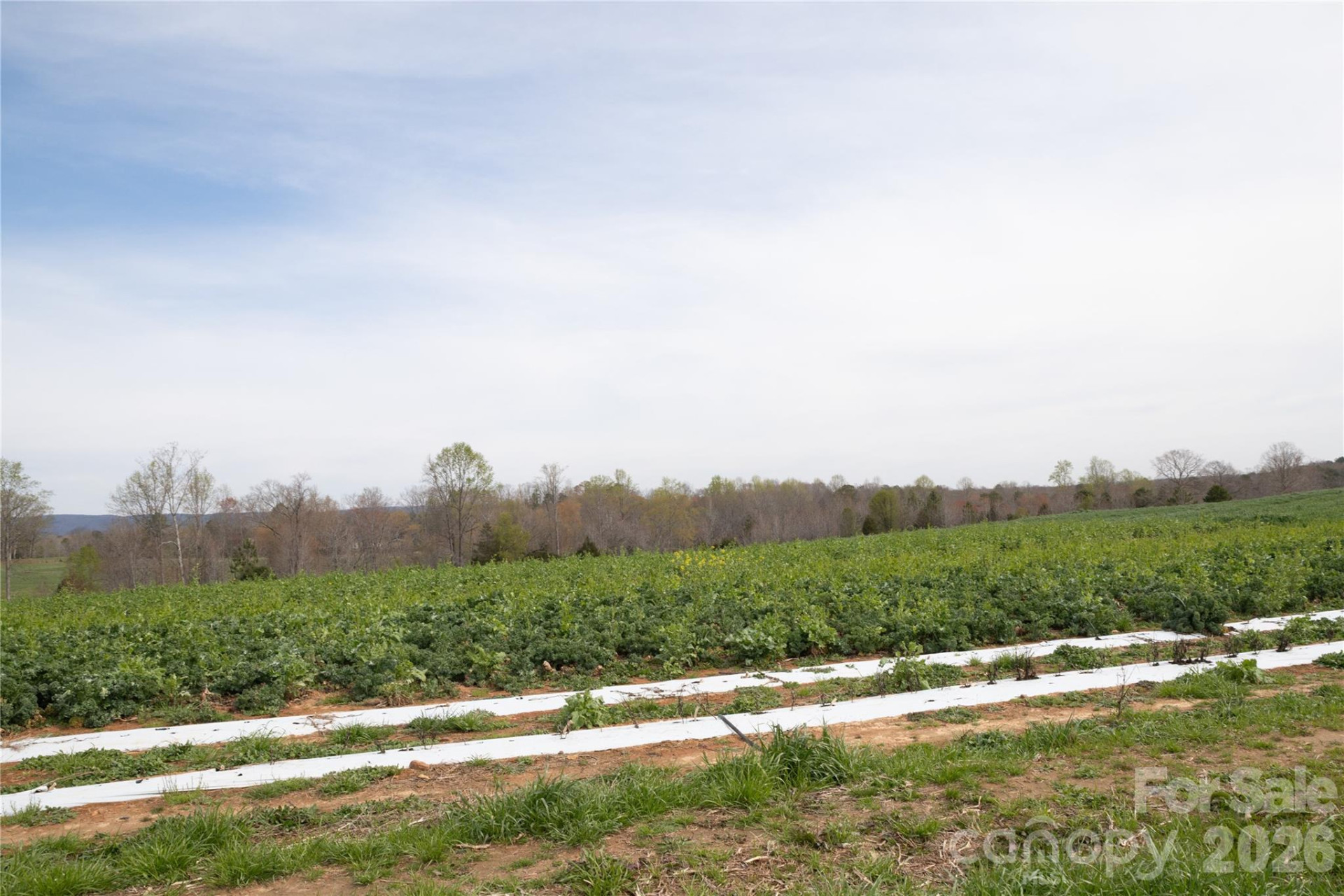 144 Iron Wheel Drive - Photo 11