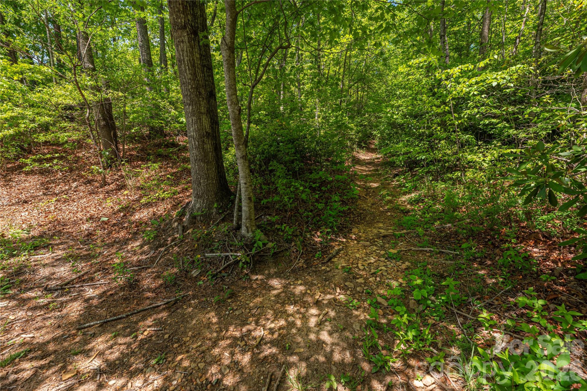 35 Grey Rock Valley - Photo 35